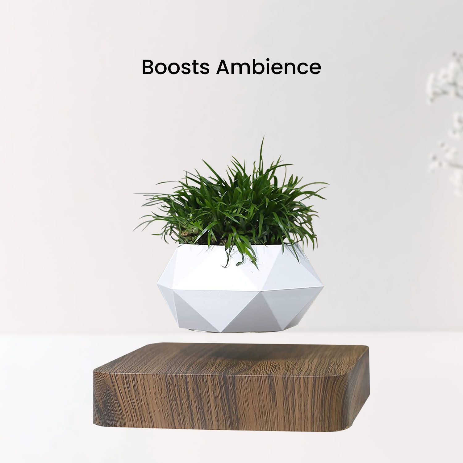 Lightweight Magnetic Levitating Plant Pot, Dark Brown Base