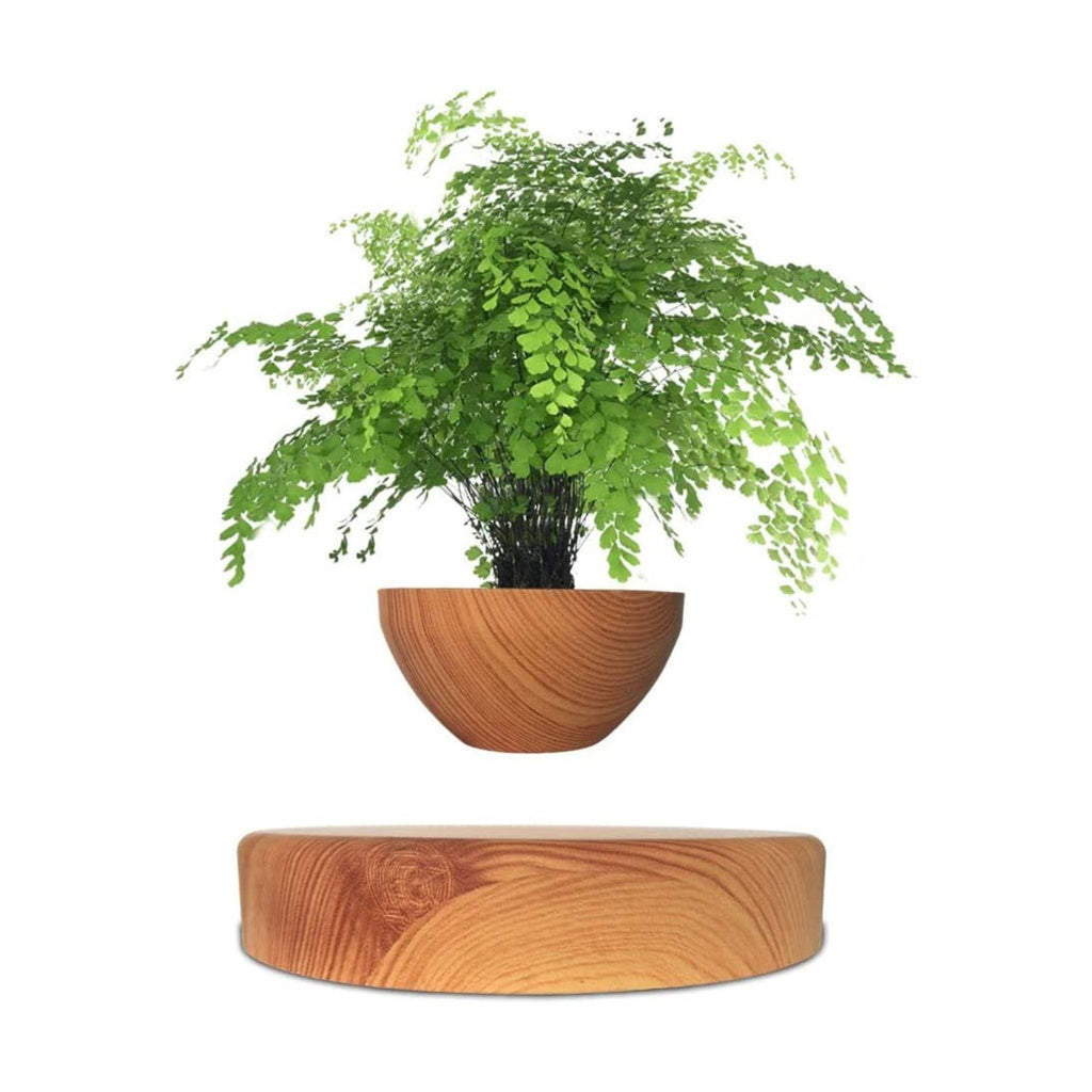 Magnetic Levitating Plant Pot, Lightweight Oak, GOMINIMO