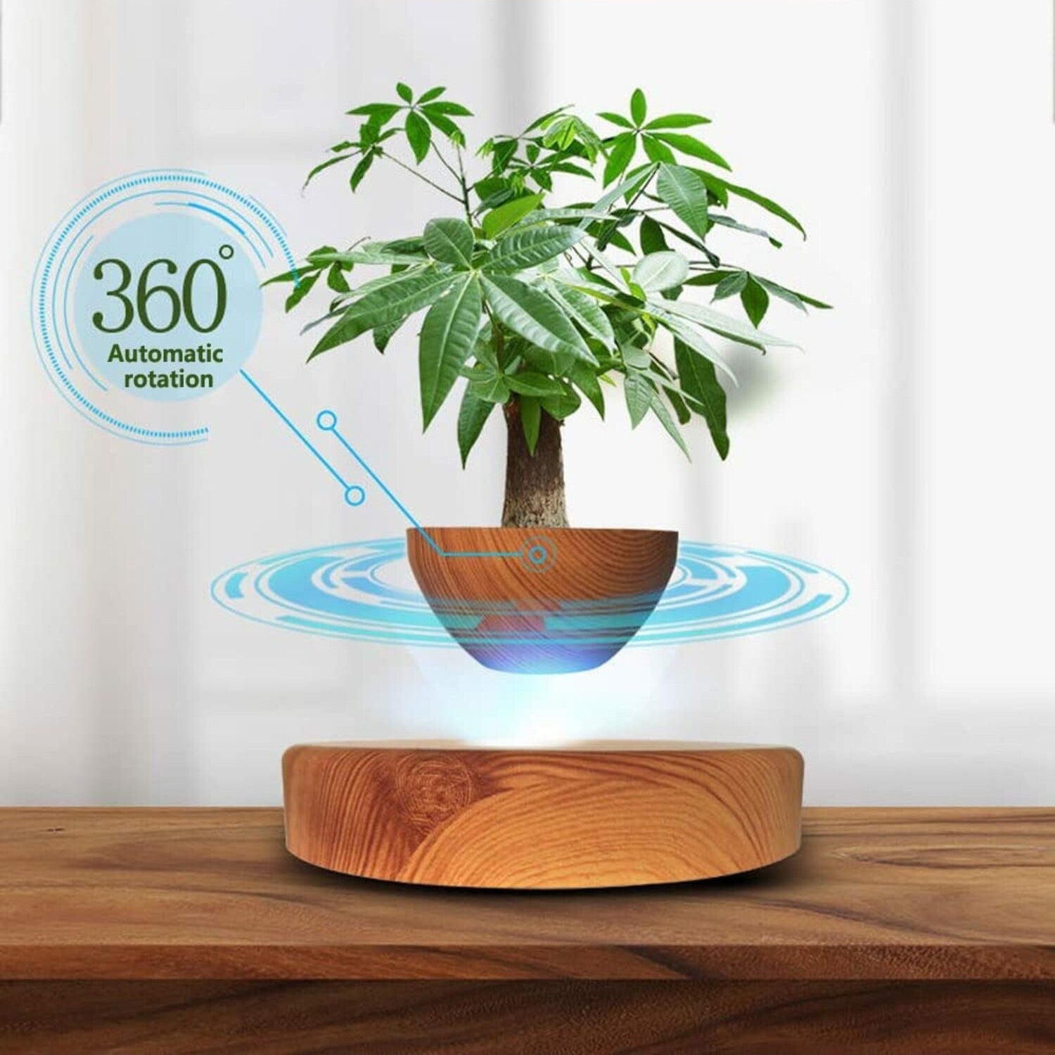 Magnetic Levitating Plant Pot, Lightweight Oak, GOMINIMO