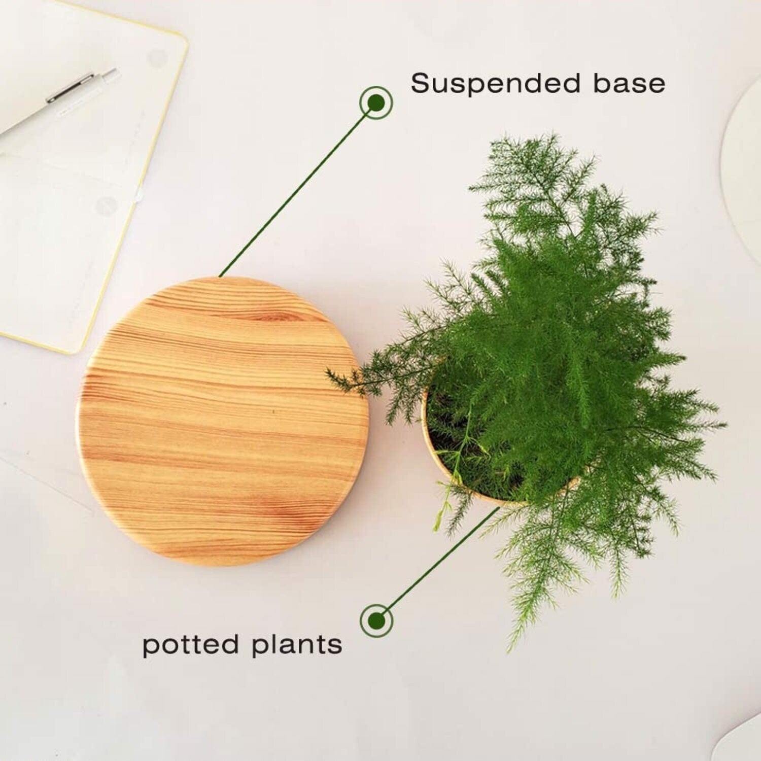 Magnetic Levitating Plant Pot, Lightweight Oak, GOMINIMO