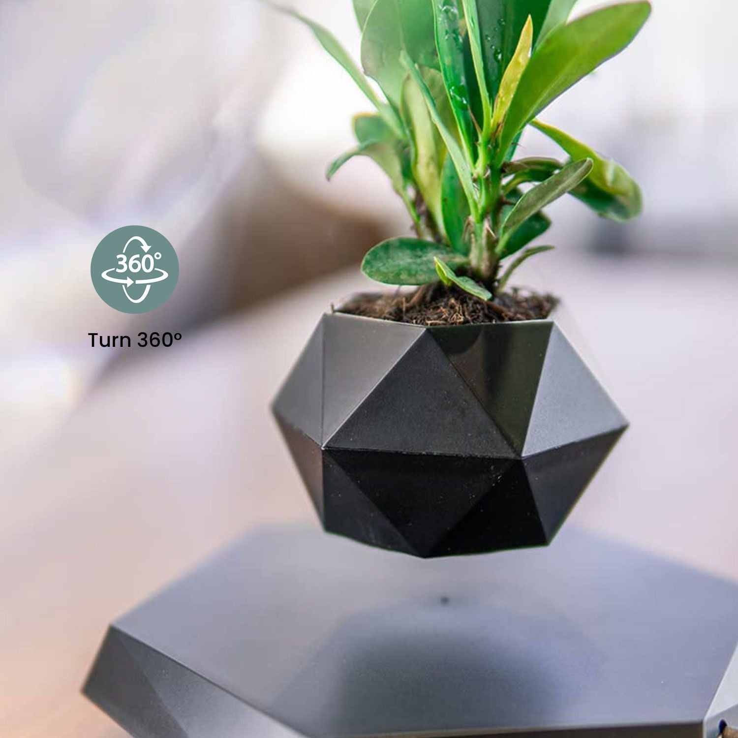 Lightweight Magnetic Levitating Plant Pot, Black - GOMINIMO