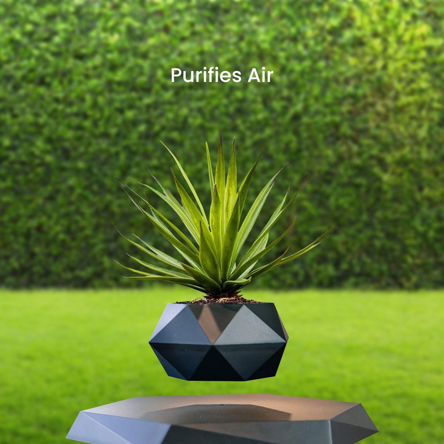 Lightweight Magnetic Levitating Plant Pot, Black - GOMINIMO