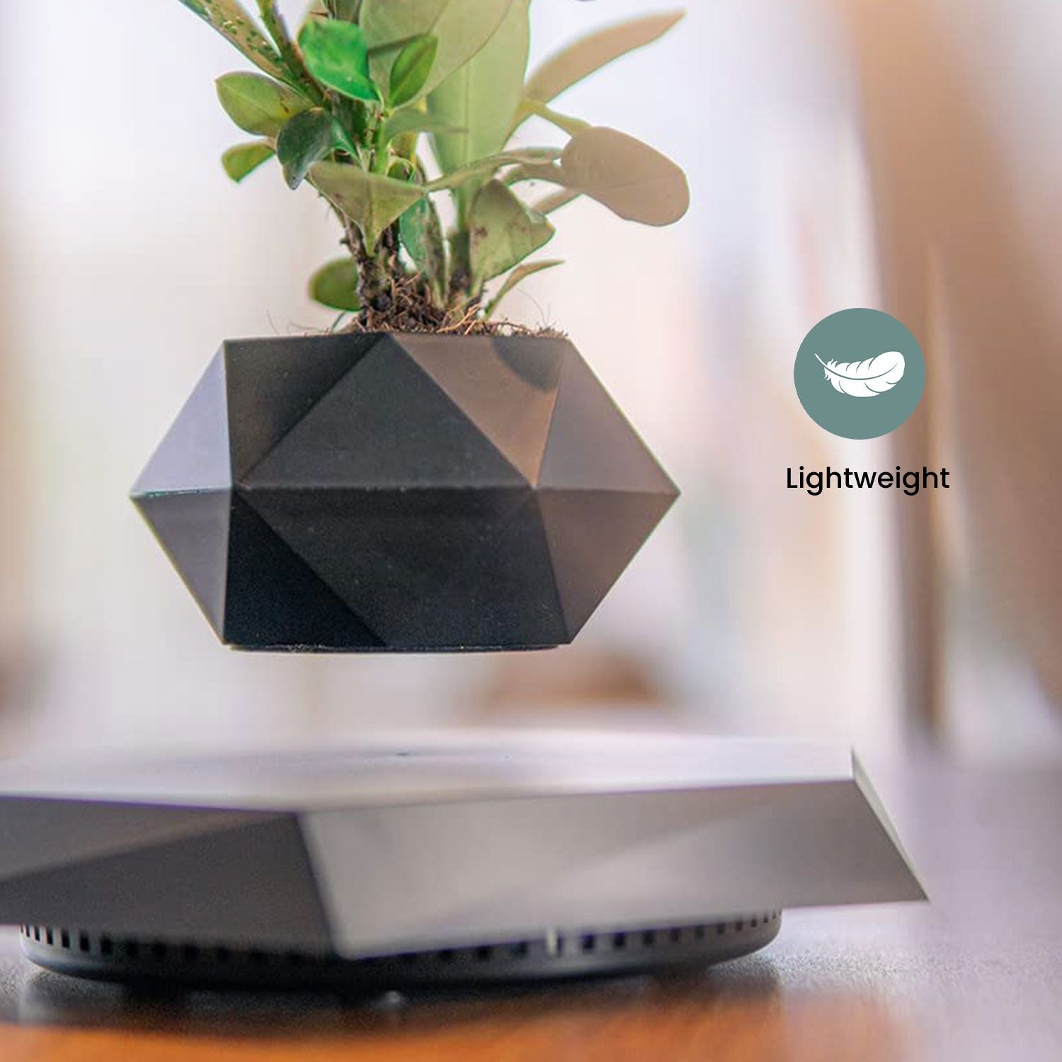 Lightweight Magnetic Levitating Plant Pot, Black - GOMINIMO