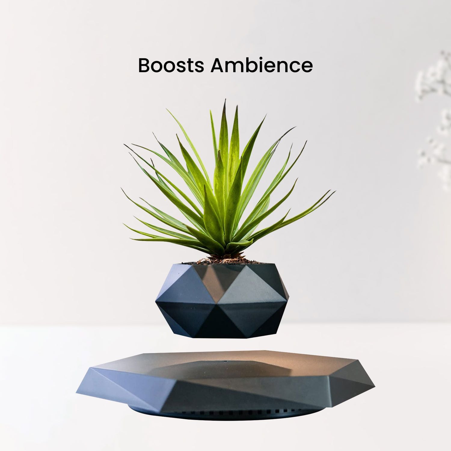 Lightweight Magnetic Levitating Plant Pot, Black - GOMINIMO