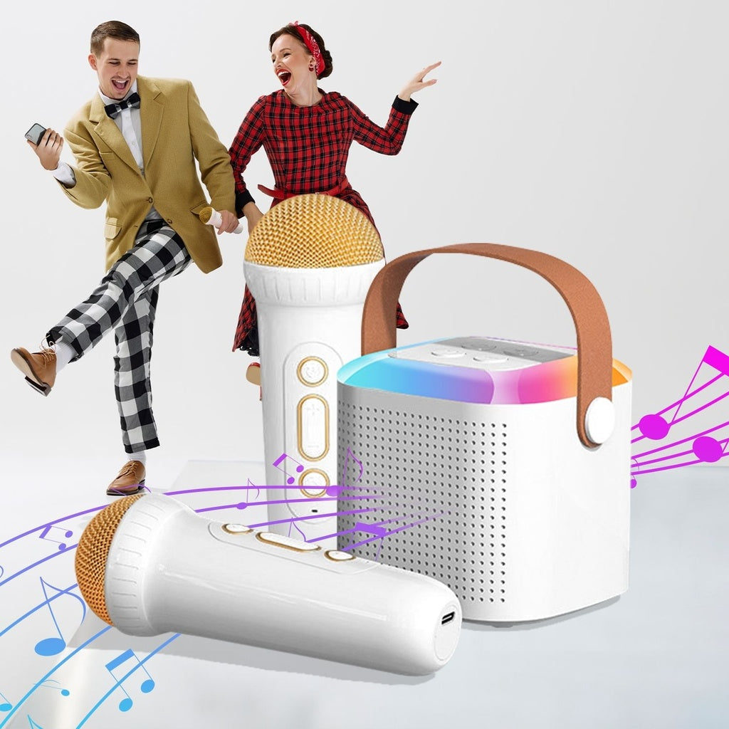 Portable Bluetooth Karaoke Speaker with Lights & 2 Mics