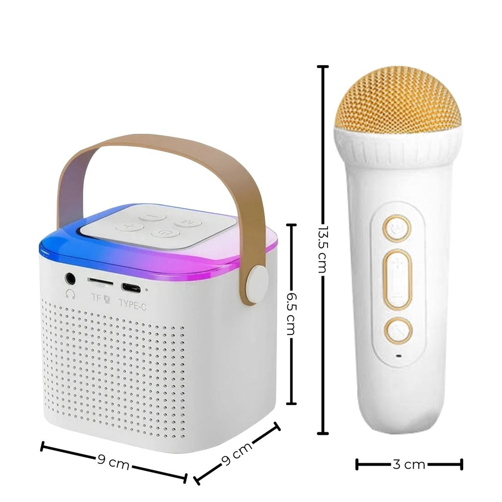 Portable Bluetooth Karaoke Speaker with Lights & 2 Mics