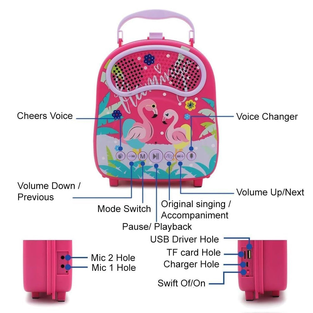 Versatile Kids Portable Karaoke with 2 Mics, Bluetooth - Gominimo