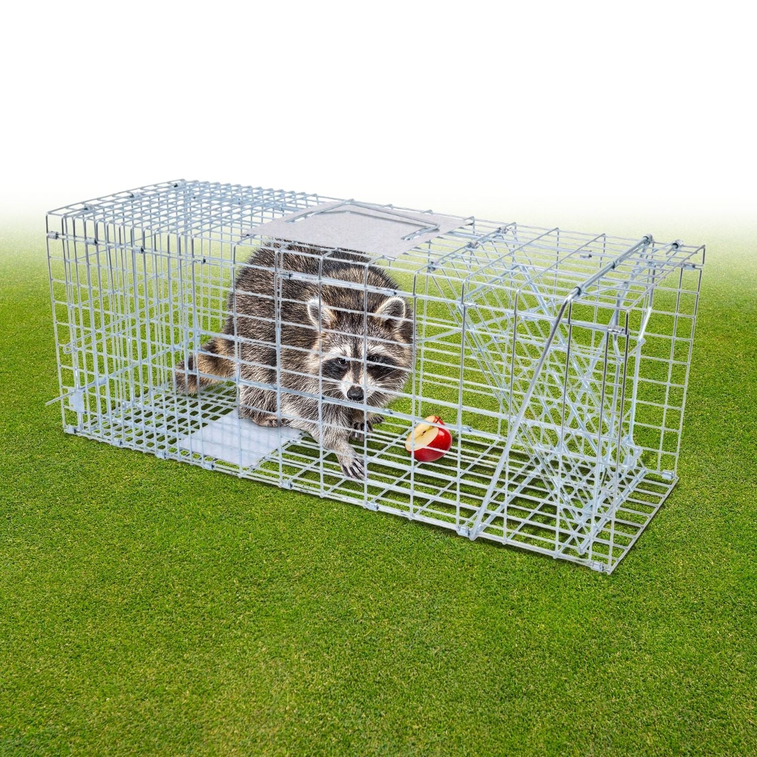 Foldable Galvanized Metal Animal Trap, 66x26x23cm, NOVEDEN