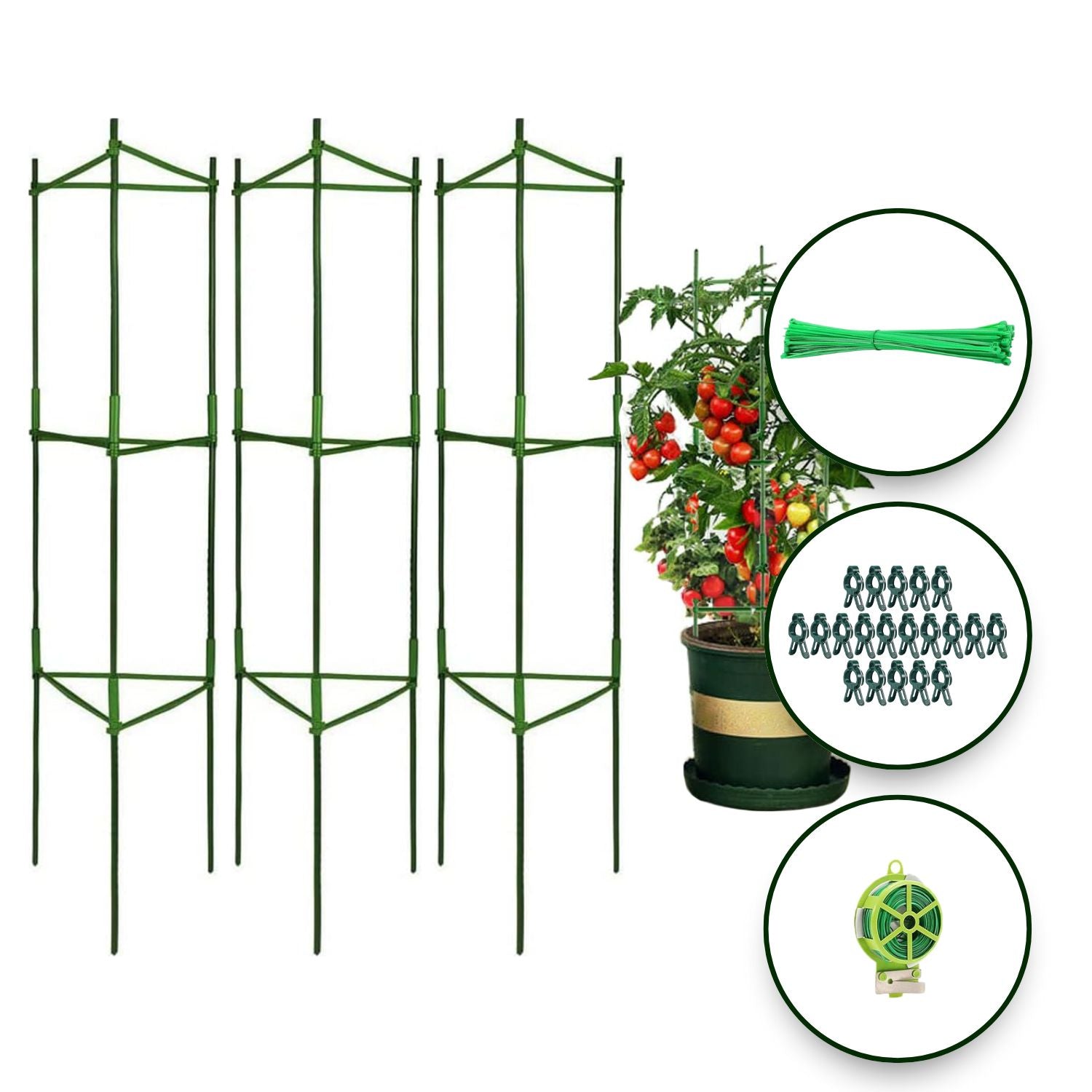 Durable Green Tomato Support Cages Set with Clips & Rope - Noveden