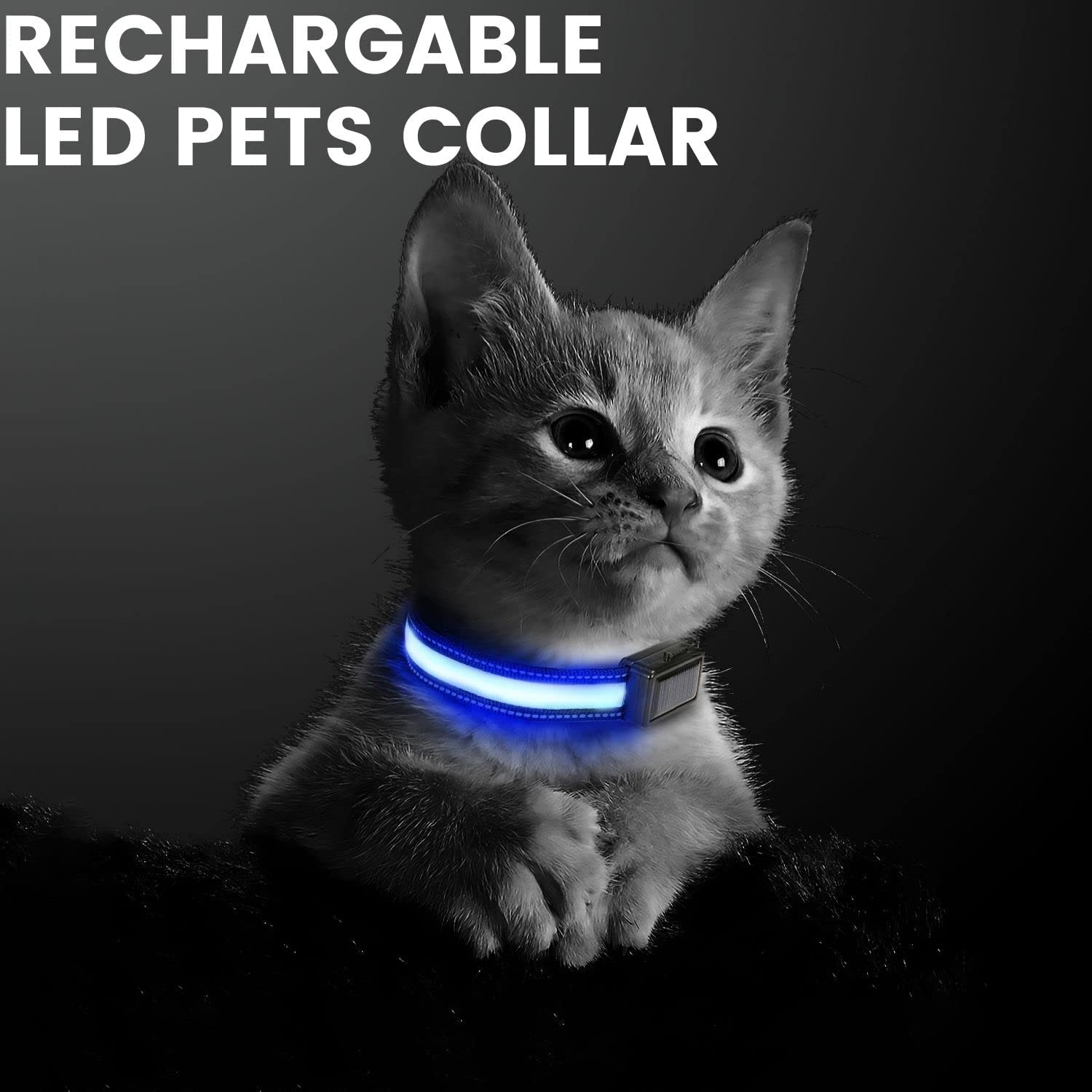 Floofi Solar USB Rechargable LED Dog Collar (L Blue)