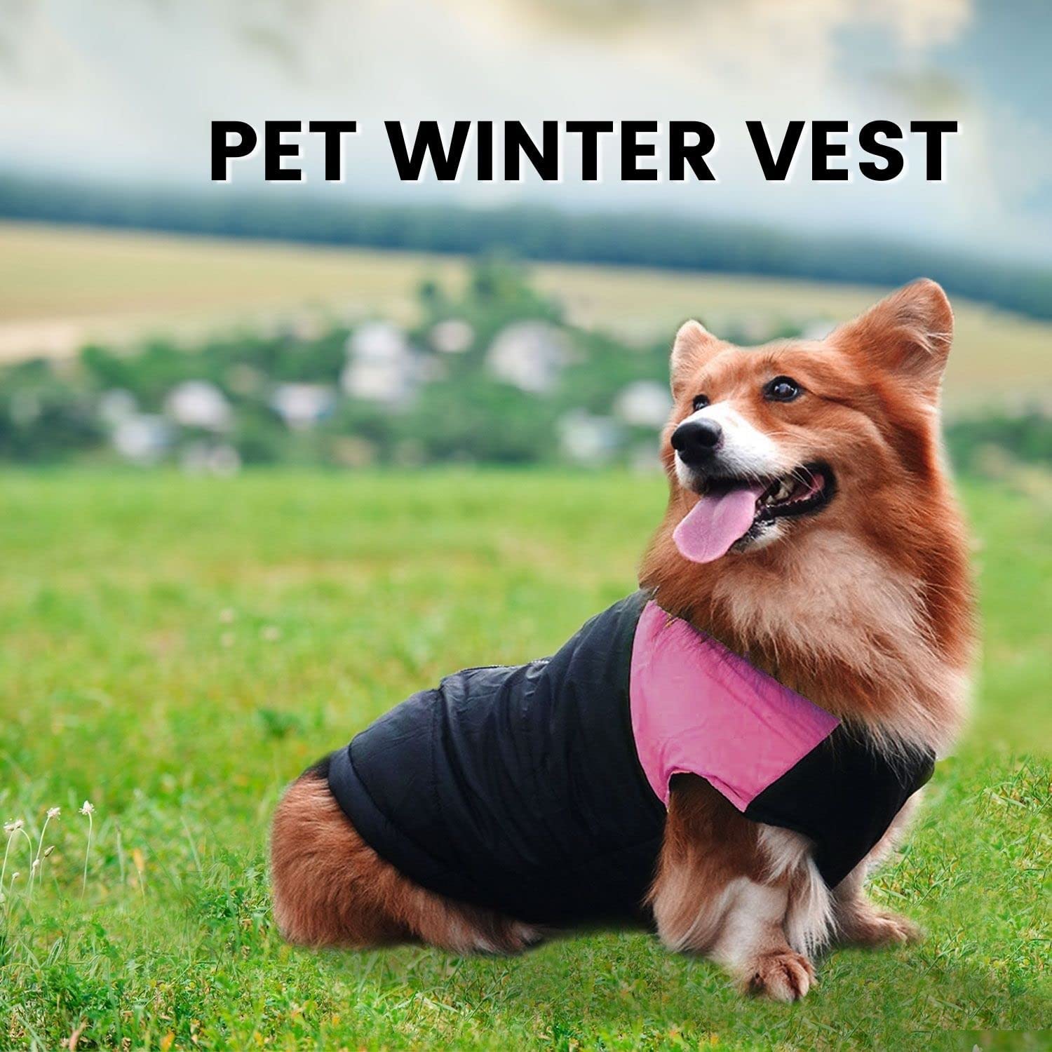 Waterproof, Windproof Pet Winter Vest (S, Pink) Floofi