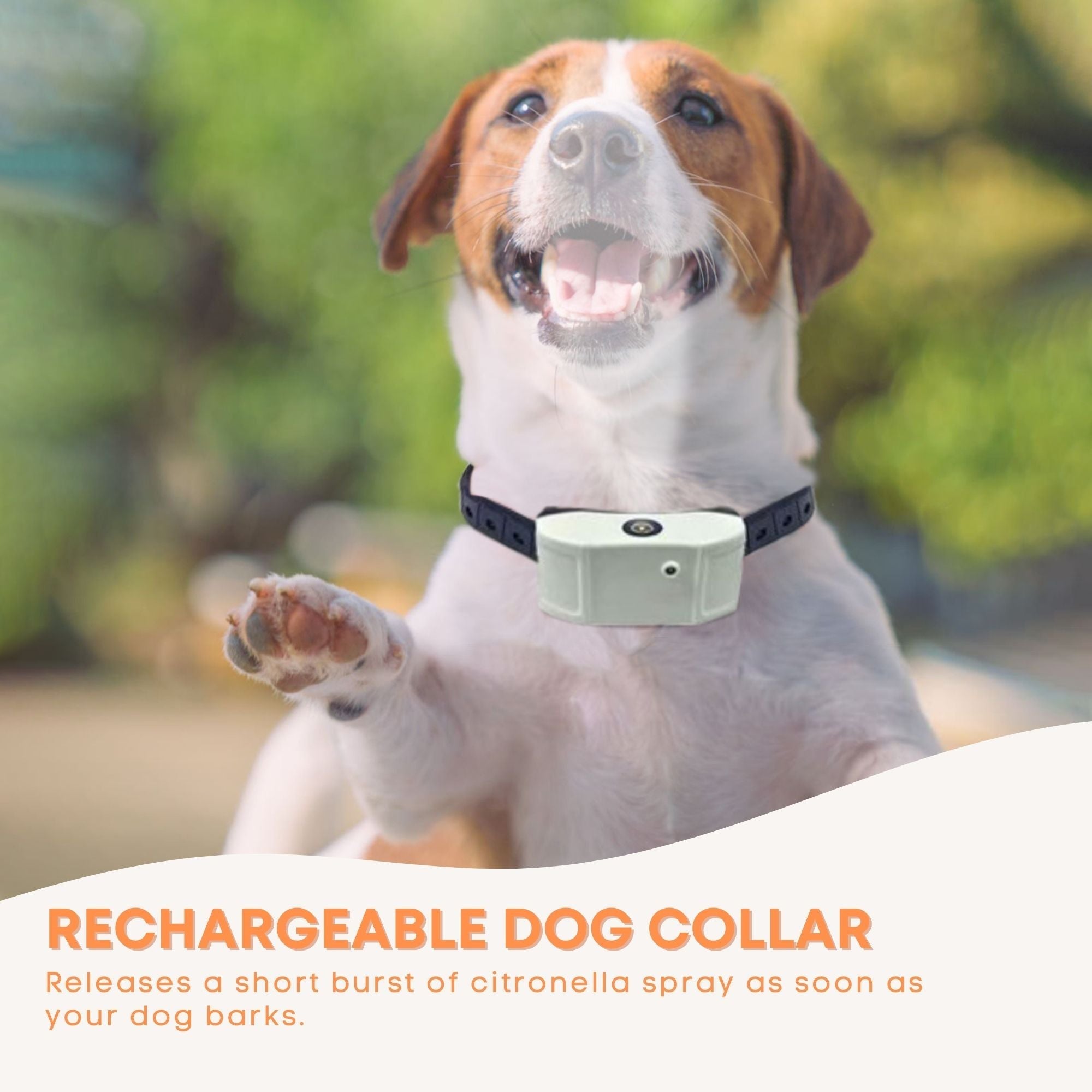 Adjustable Citronella Dog Bark Collar, USB Rechargeable Spray