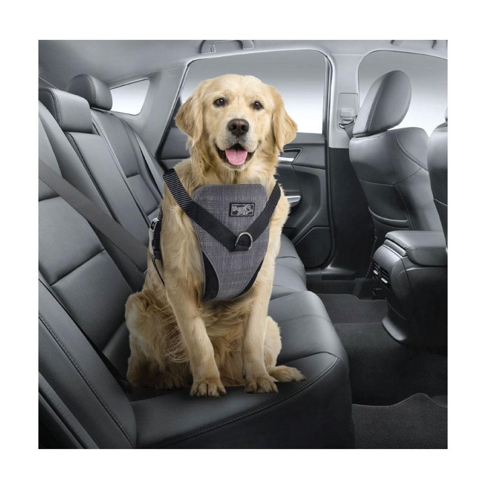 M Dog Harness 2 in 1 Combo - Car Travel Rides + Walks - No Pull Leash Seat Belt