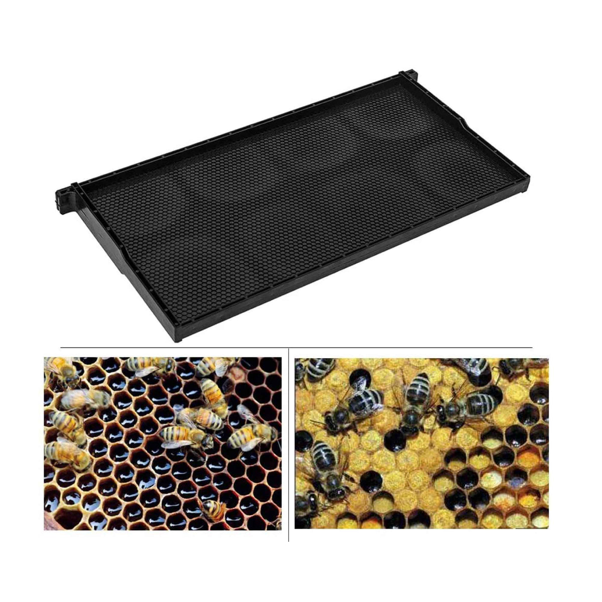 Transparent Bee Frame 10x Beehive Plastic Frames Foundations Langstroth Bee Hive Deep Box Be