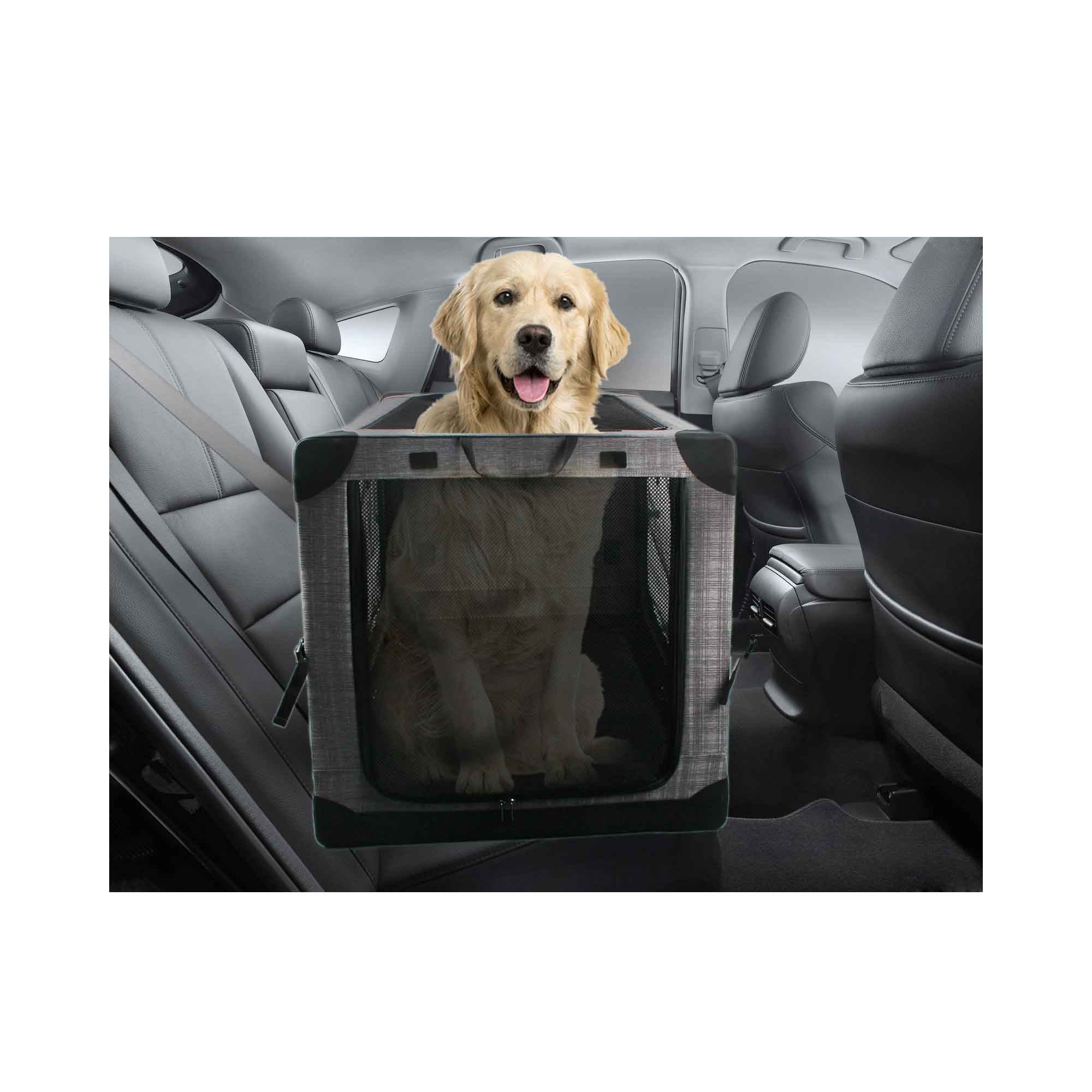 Waterproof XL Foldable Pet Travel Crate with Mesh Walls