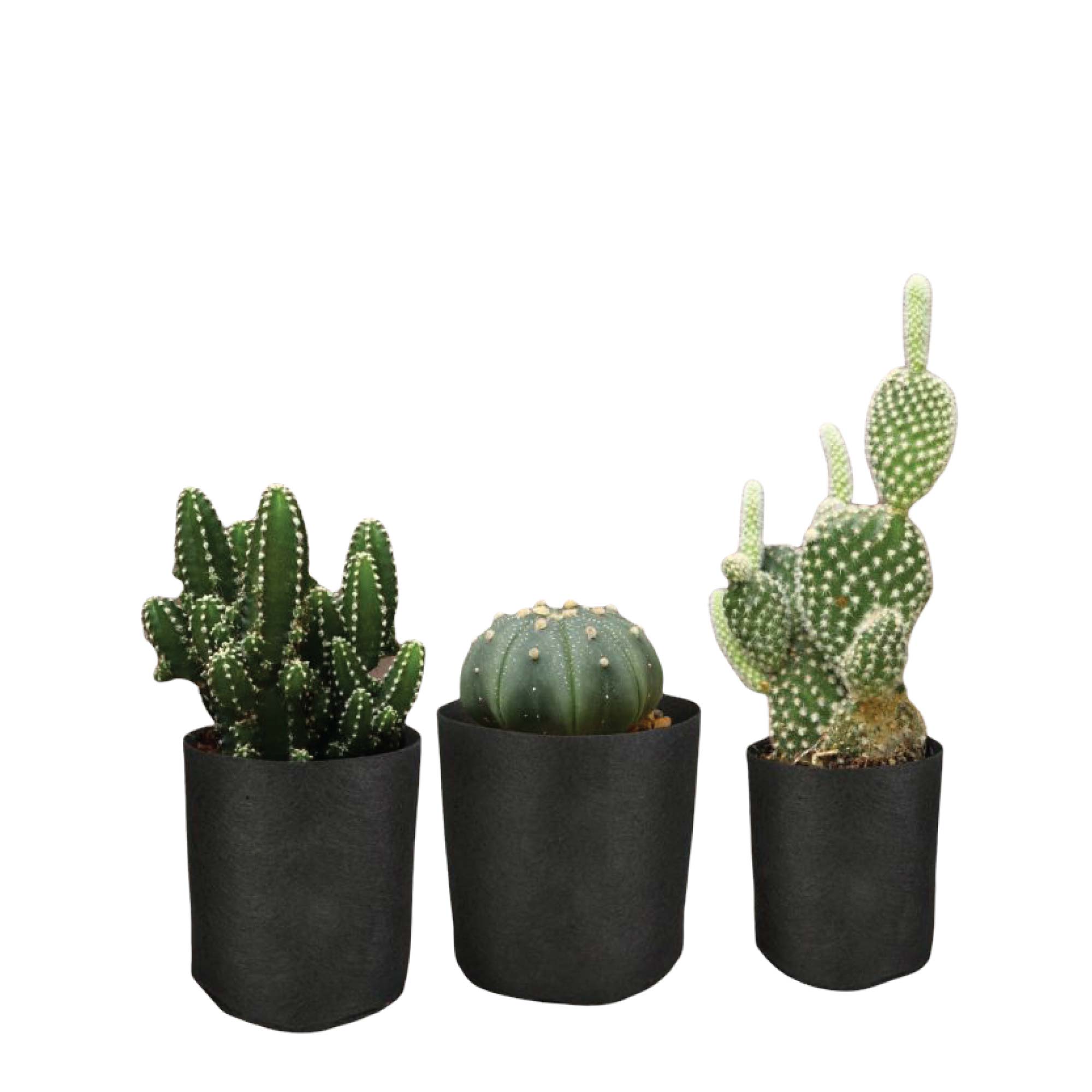 Durable Fabric Flower Pots 1 Gallon, 6 Pack, Black Felt