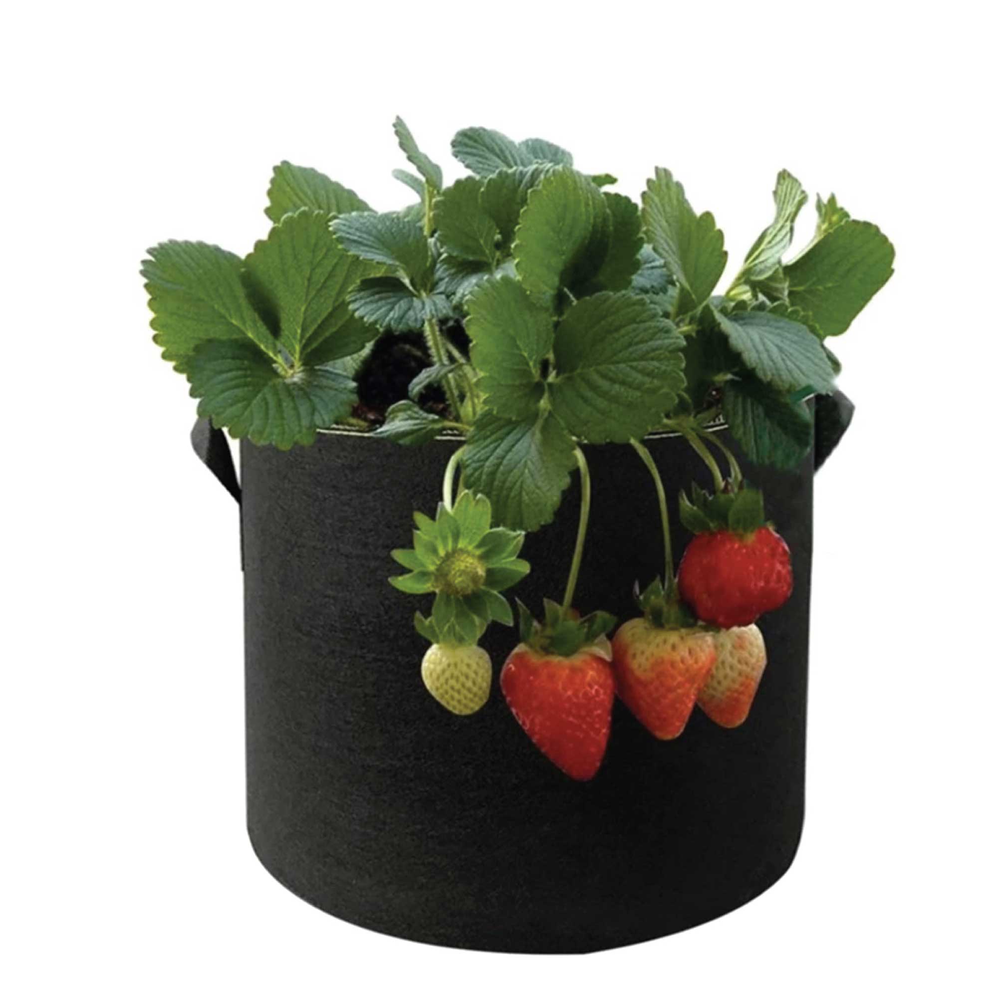 6 Pck 5 Gallon Fabric Flower Pots, Durable Breathable Planter