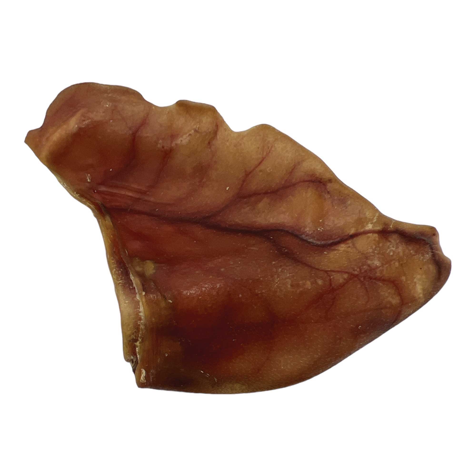 Dehydrated Large Pig Ears Dog Treats 10x - All Natural