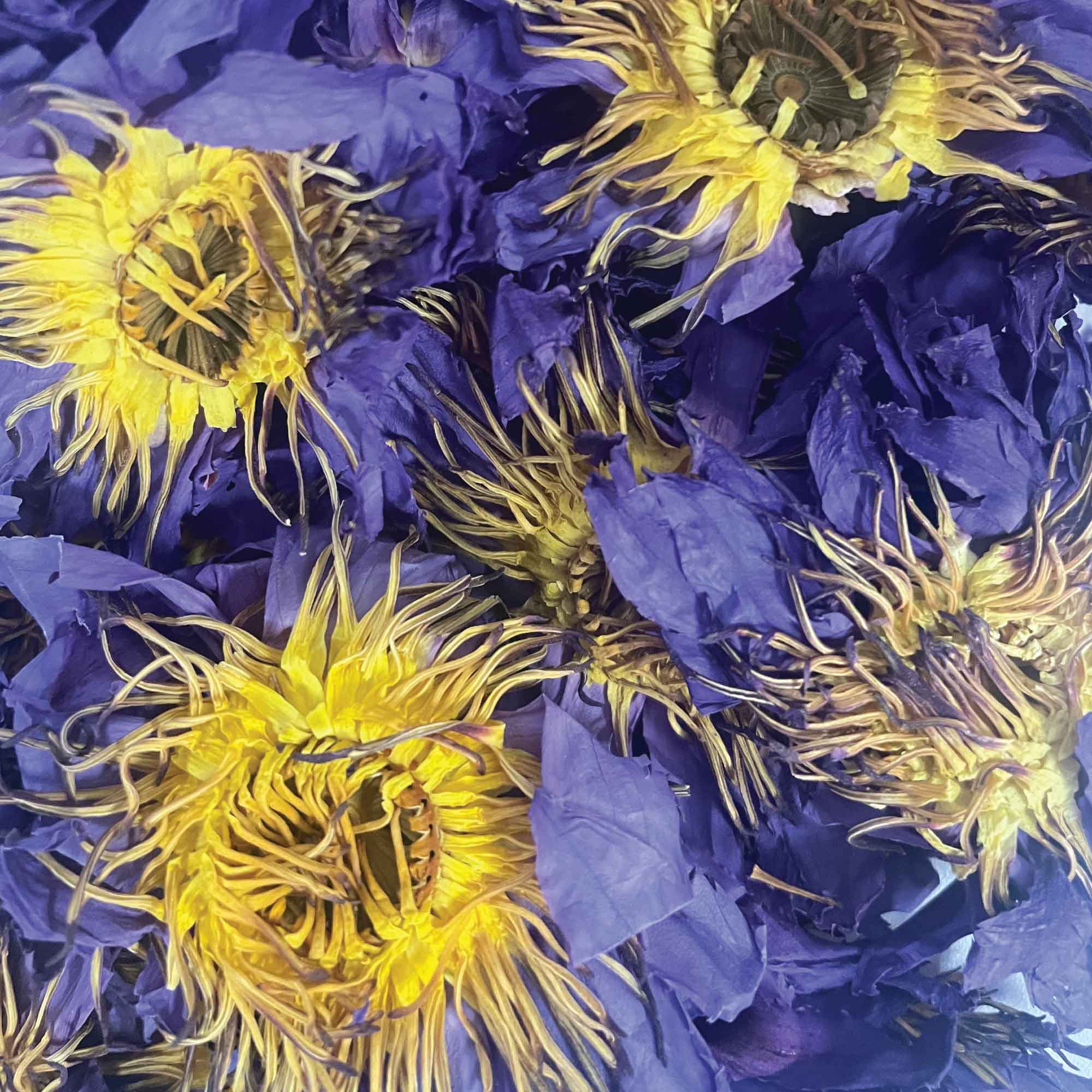 Orku 2Kg Dried Blue Lotus Flowers - Whole Open Lily Nymphaea Caerulea