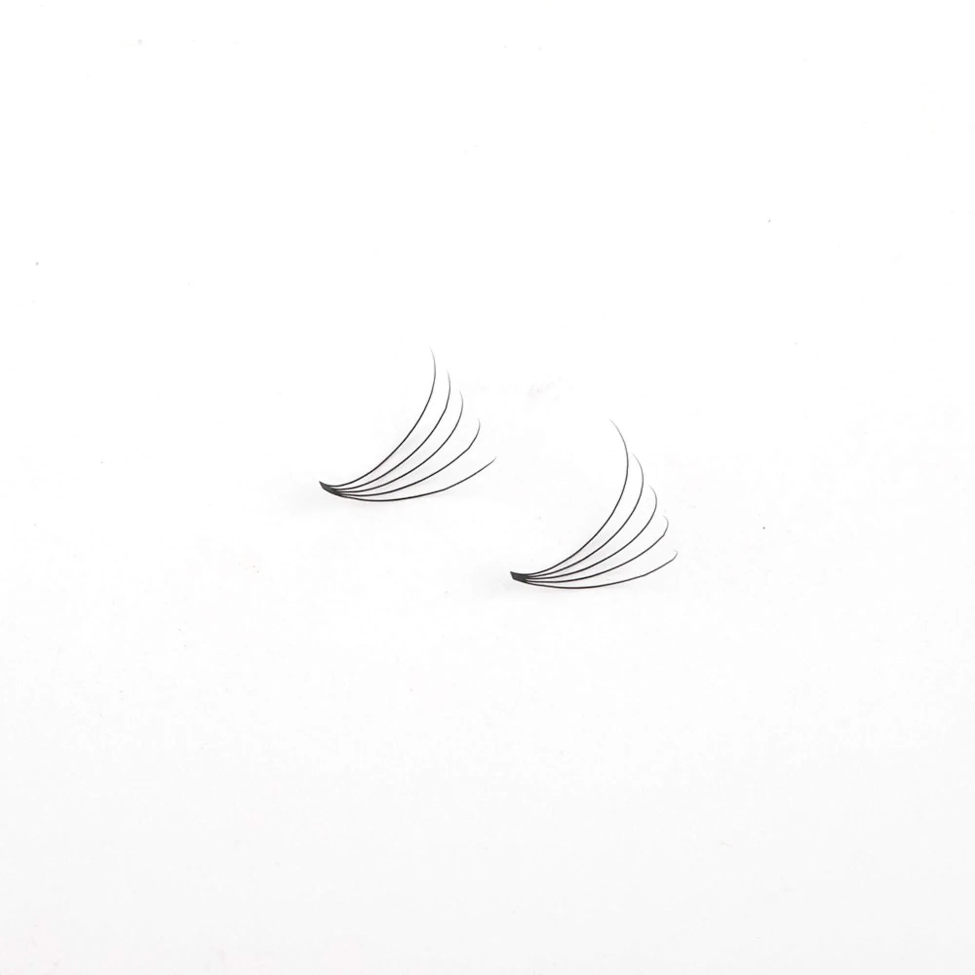Miosh Eyelash Extensions - XL 5D Premade Volume Short Stem Lash 0.10 / D CURL