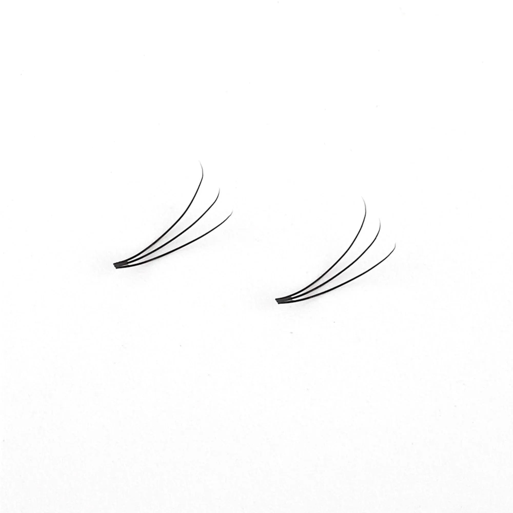 Miosh Eyelash Extensions - XL 3D Premade Volume Short Stem Lash 0.10 / D CURL