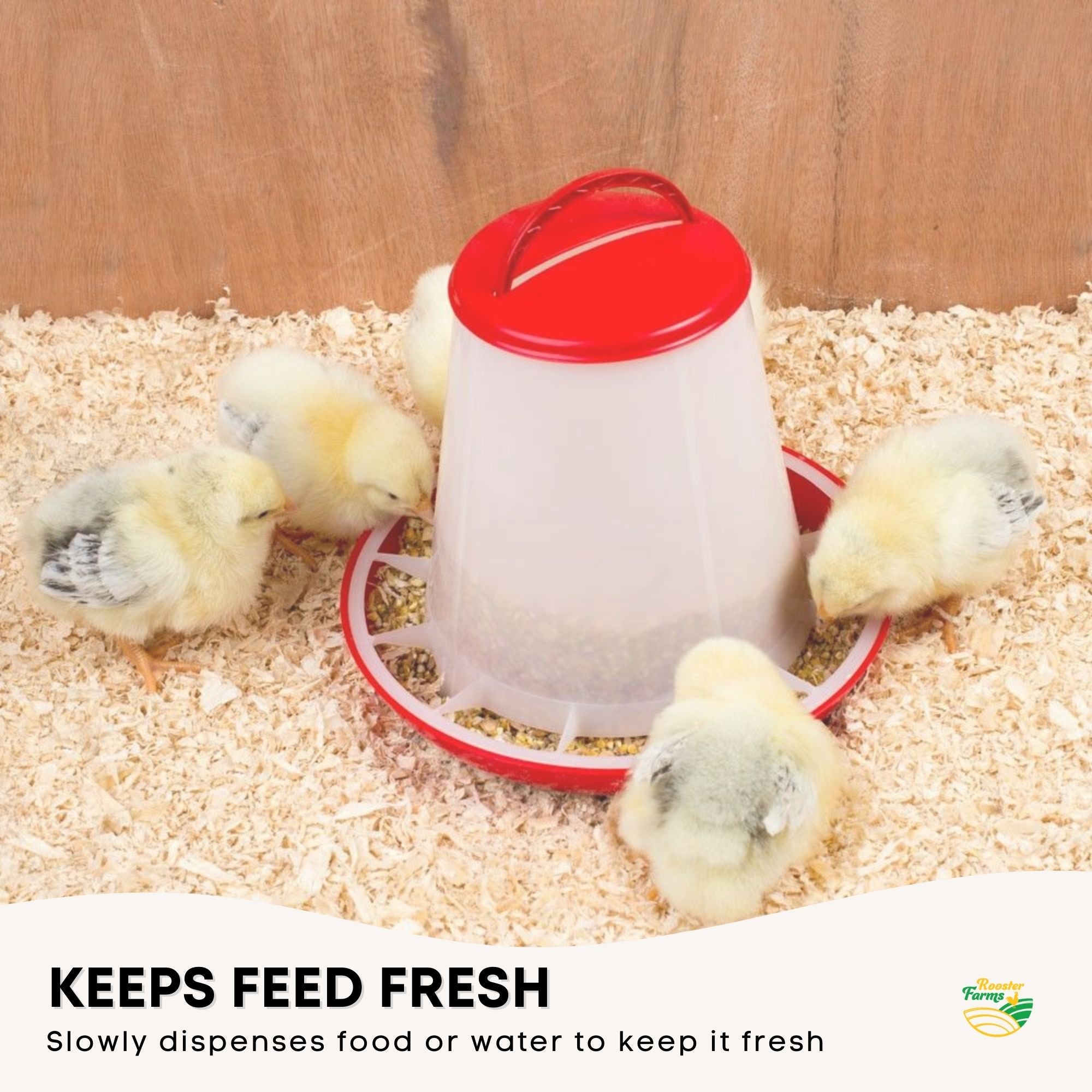 6kg Automatic Chicken Feeder, Anti-Waste Plastic