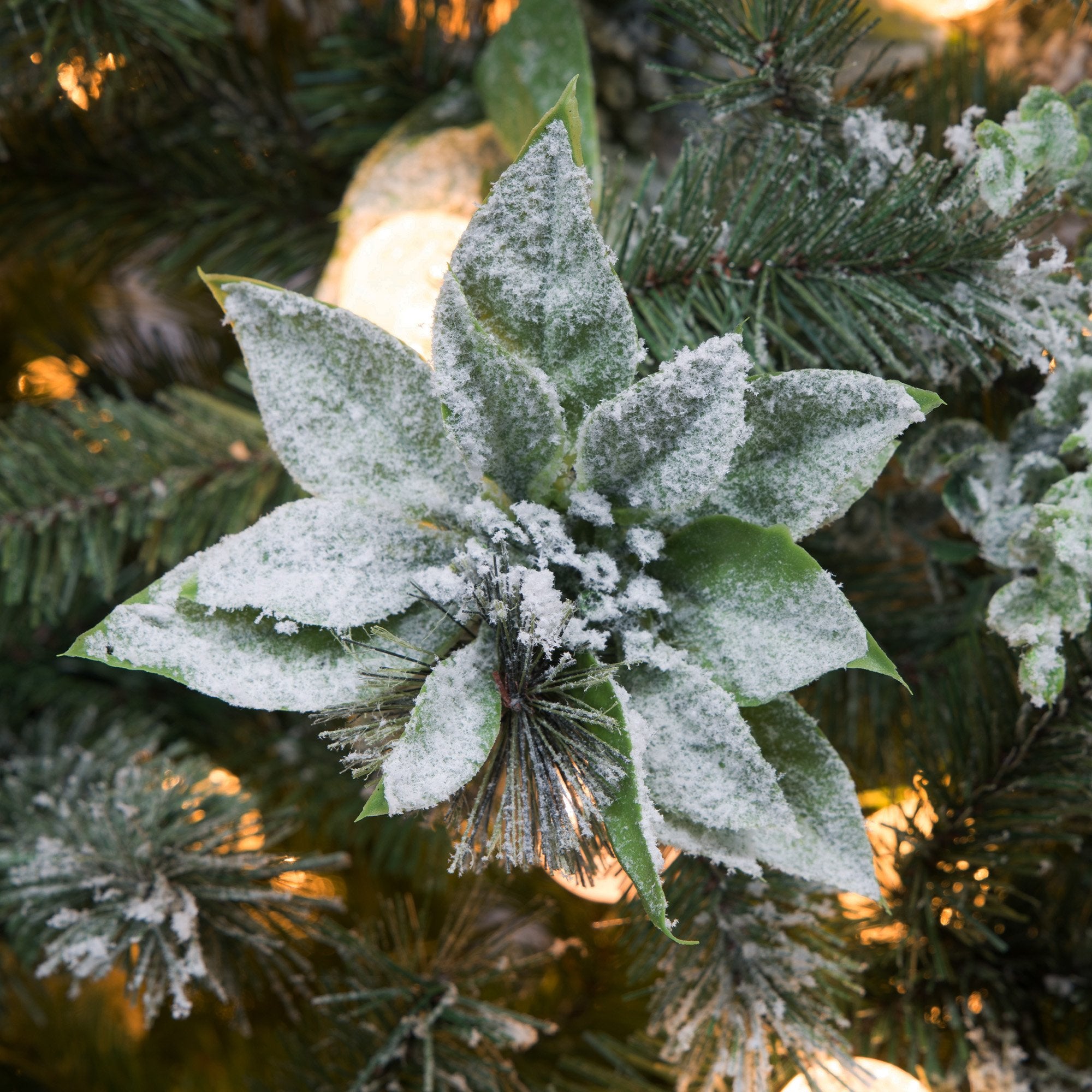 Snowy Crown Pine 2.7m Pre-Lit Christmas Tree Multicolour LED