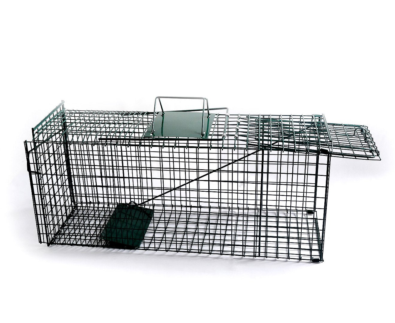 Humane Rust-Resistant Folding Animal Trap with Handle