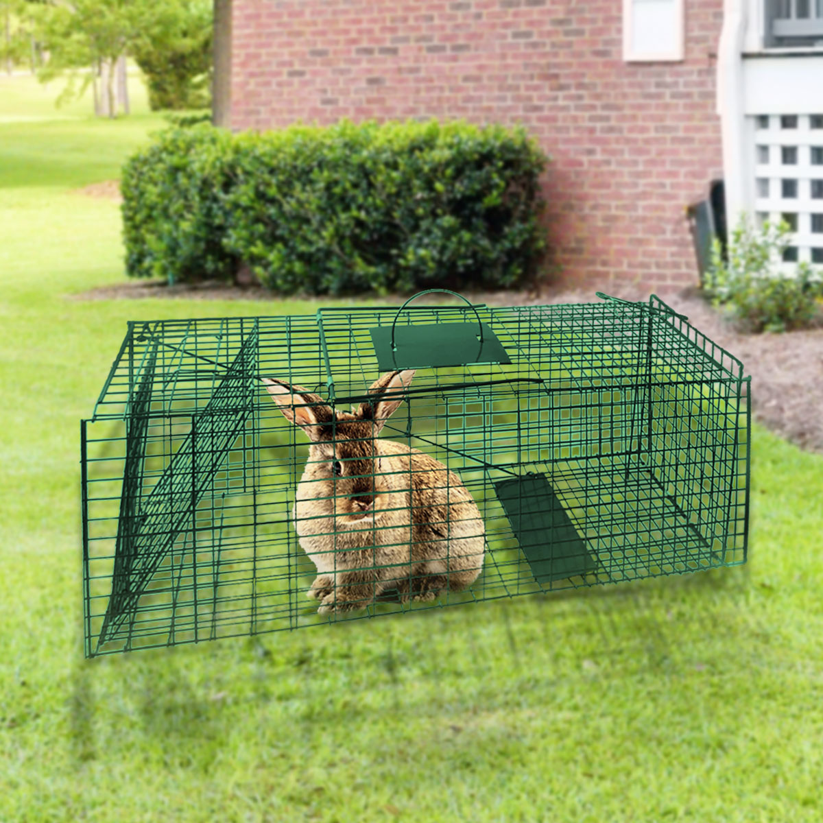 Humane Rust-Resistant Folding Animal Trap with Handle