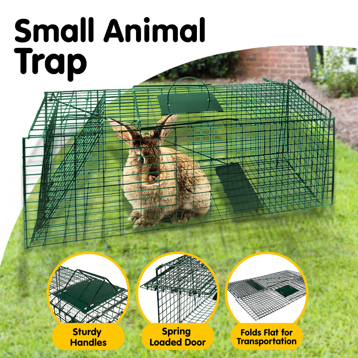 Humane Rust-Resistant Folding Animal Trap with Handle