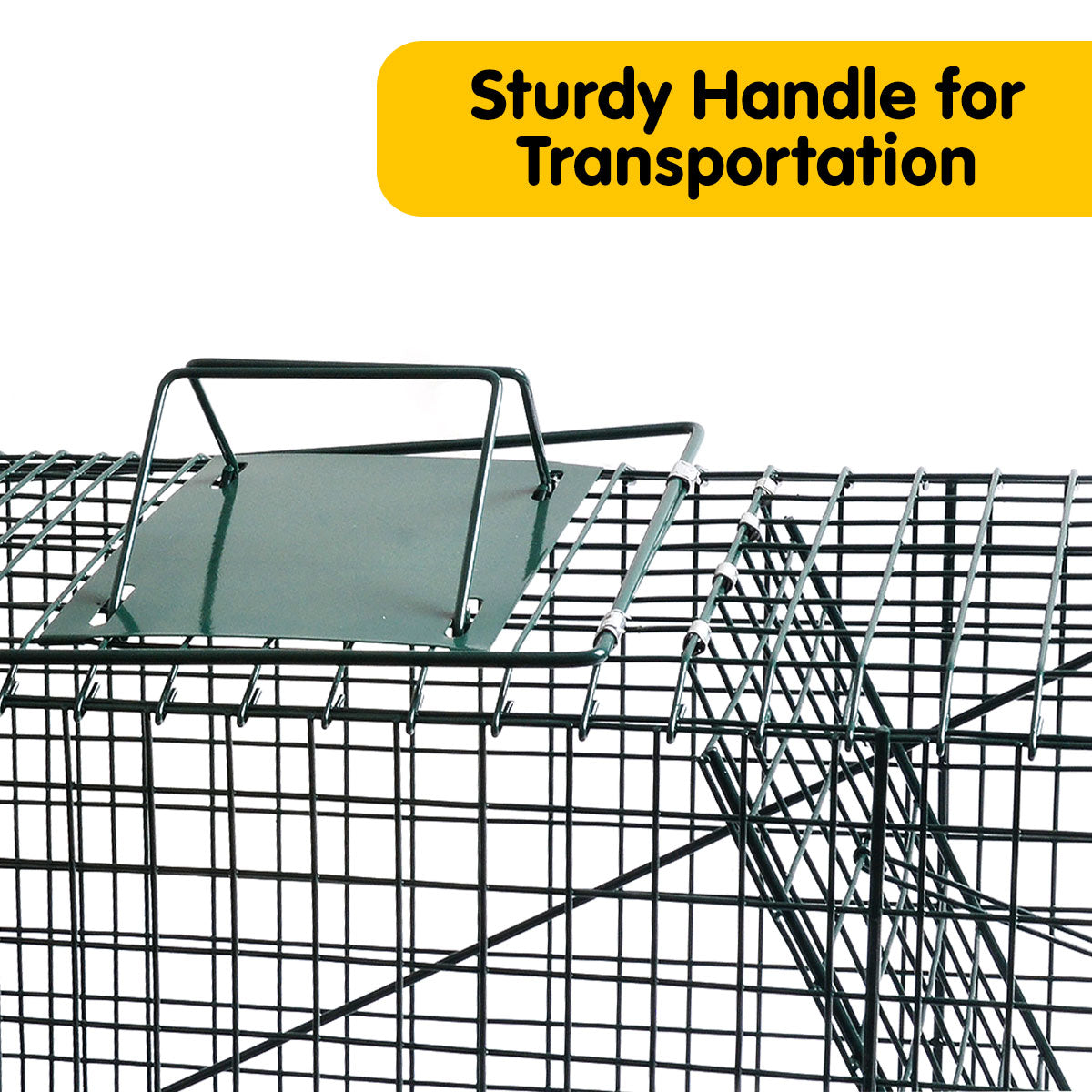 Humane Rust-Resistant Folding Animal Trap with Handle