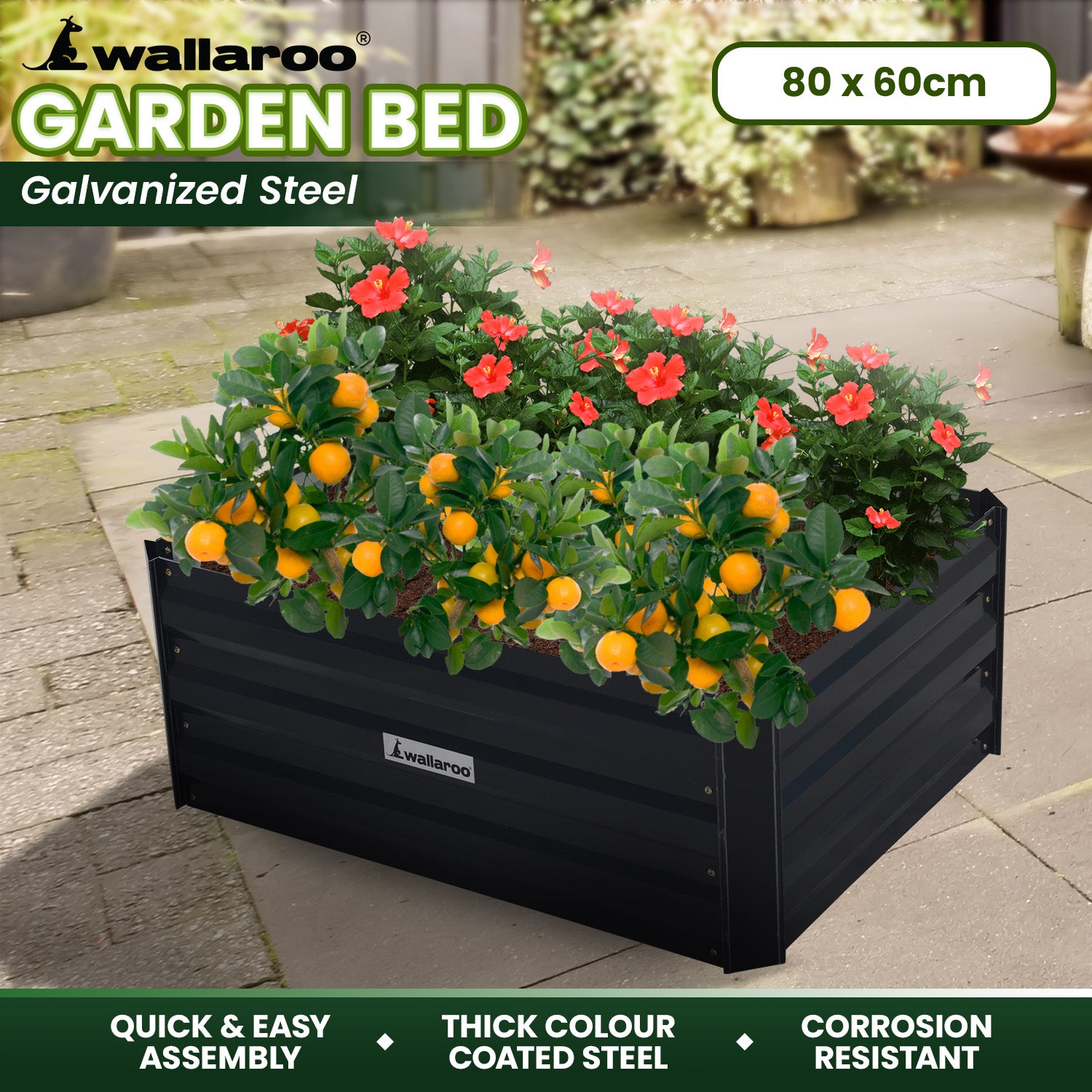 Corrosion-Resistant Galvanized Steel Garden Bed 80x60x30cm - Wallaroo