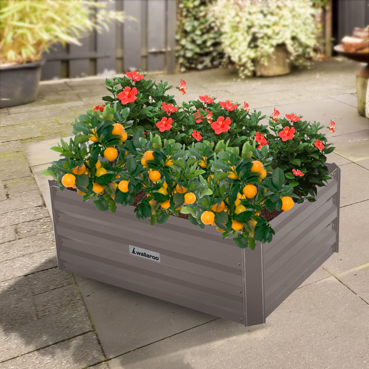 Thick Galvanized Steel Garden Bed, Corrosion Resistant, 80x60x30cm - Wallaroo