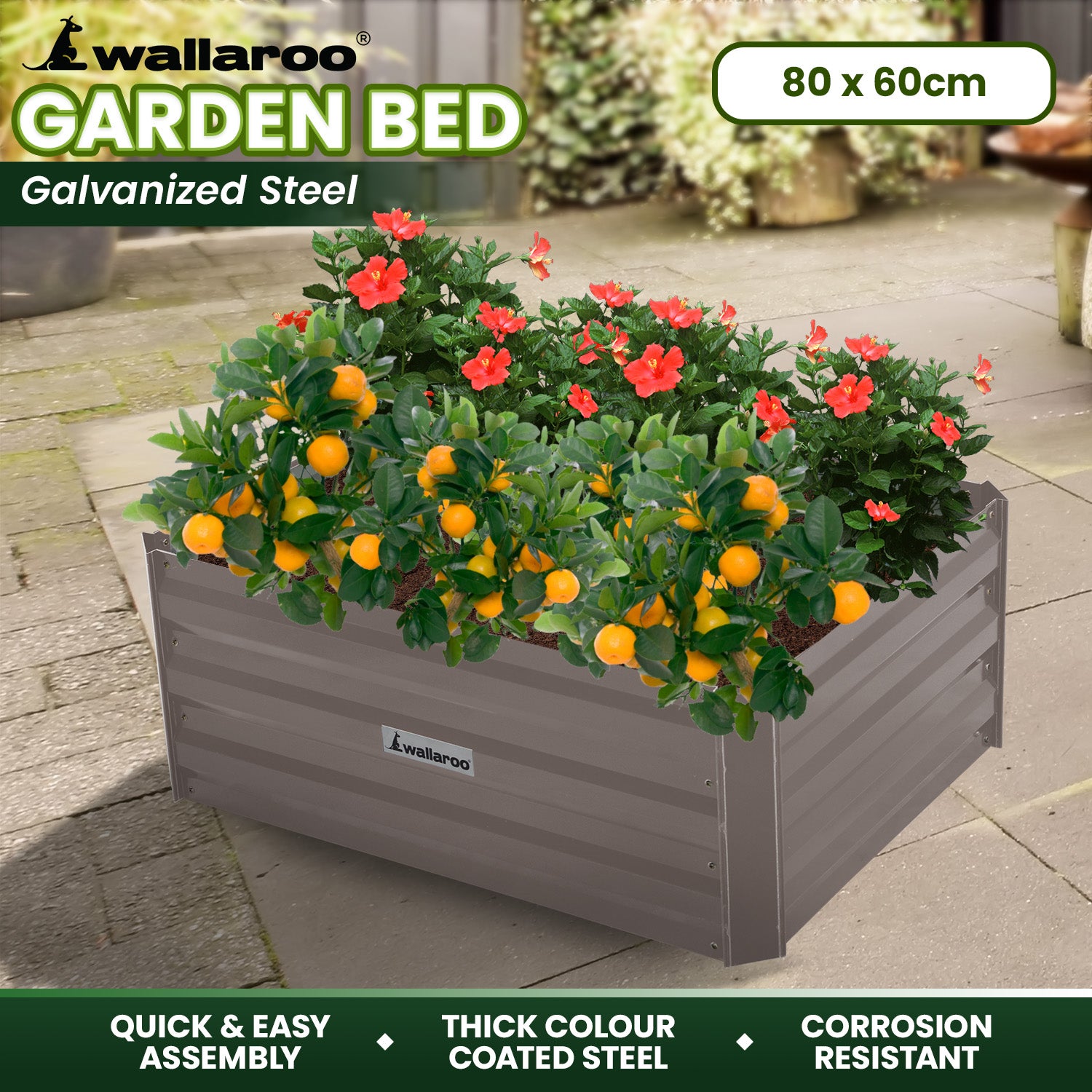 Thick Galvanized Steel Garden Bed, Corrosion Resistant, 80x60x30cm - Wallaroo