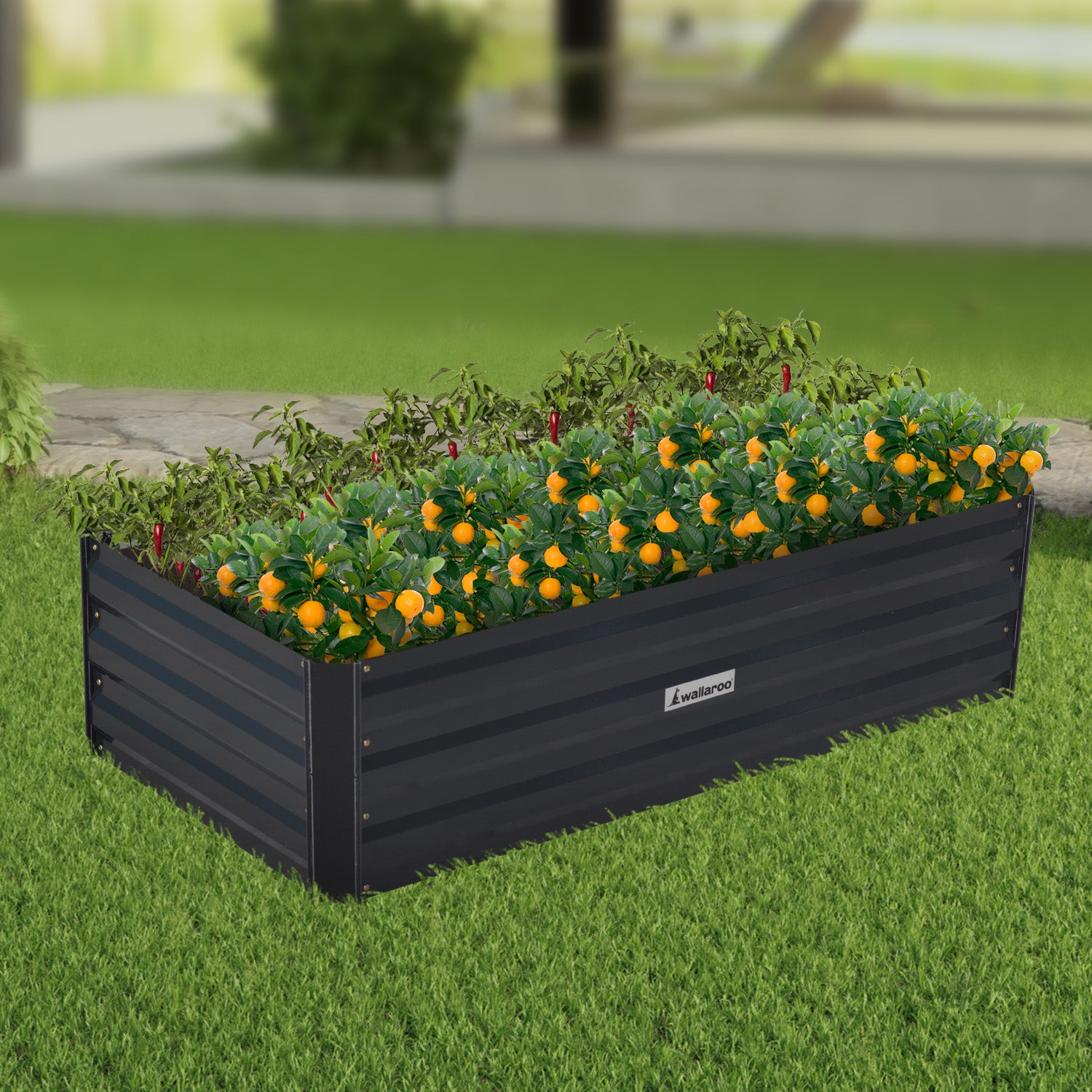 Corrosion-Resistant Garden Bed, Galvanized Steel, Wallaroo