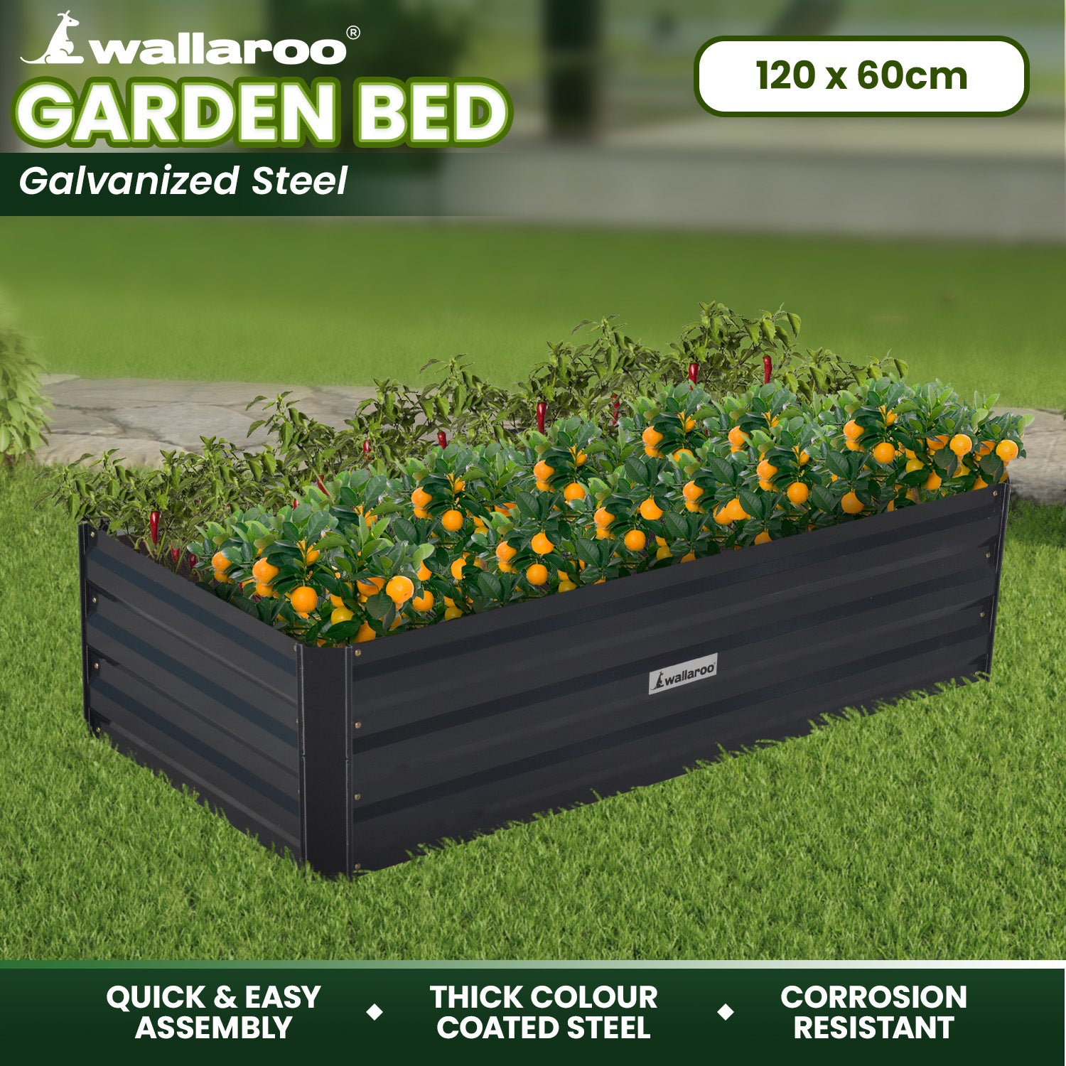 Corrosion-Resistant Garden Bed, Galvanized Steel, Wallaroo