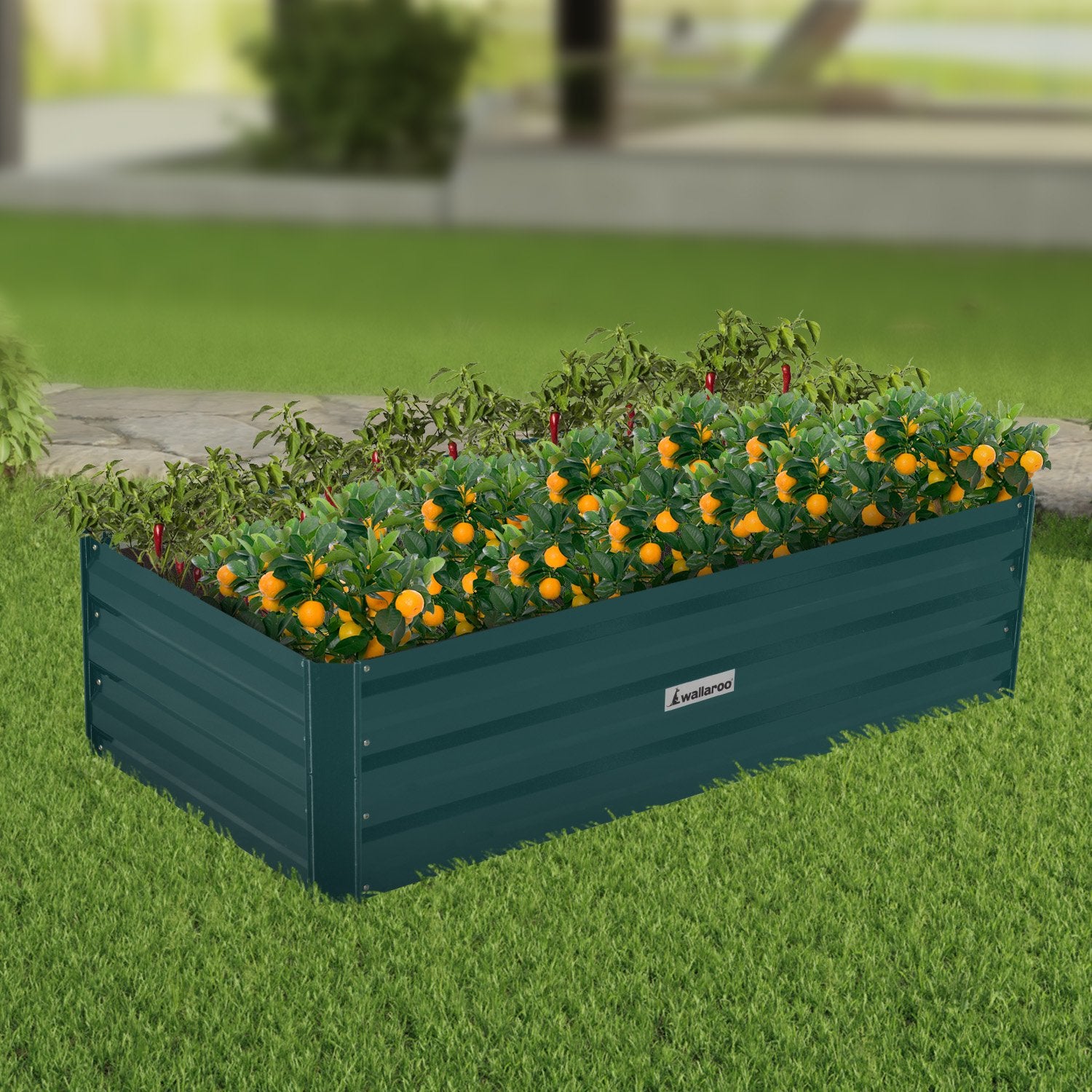 Quick Assembly Corrosion Resistant Galvanized Steel Garden Bed - Wallaroo