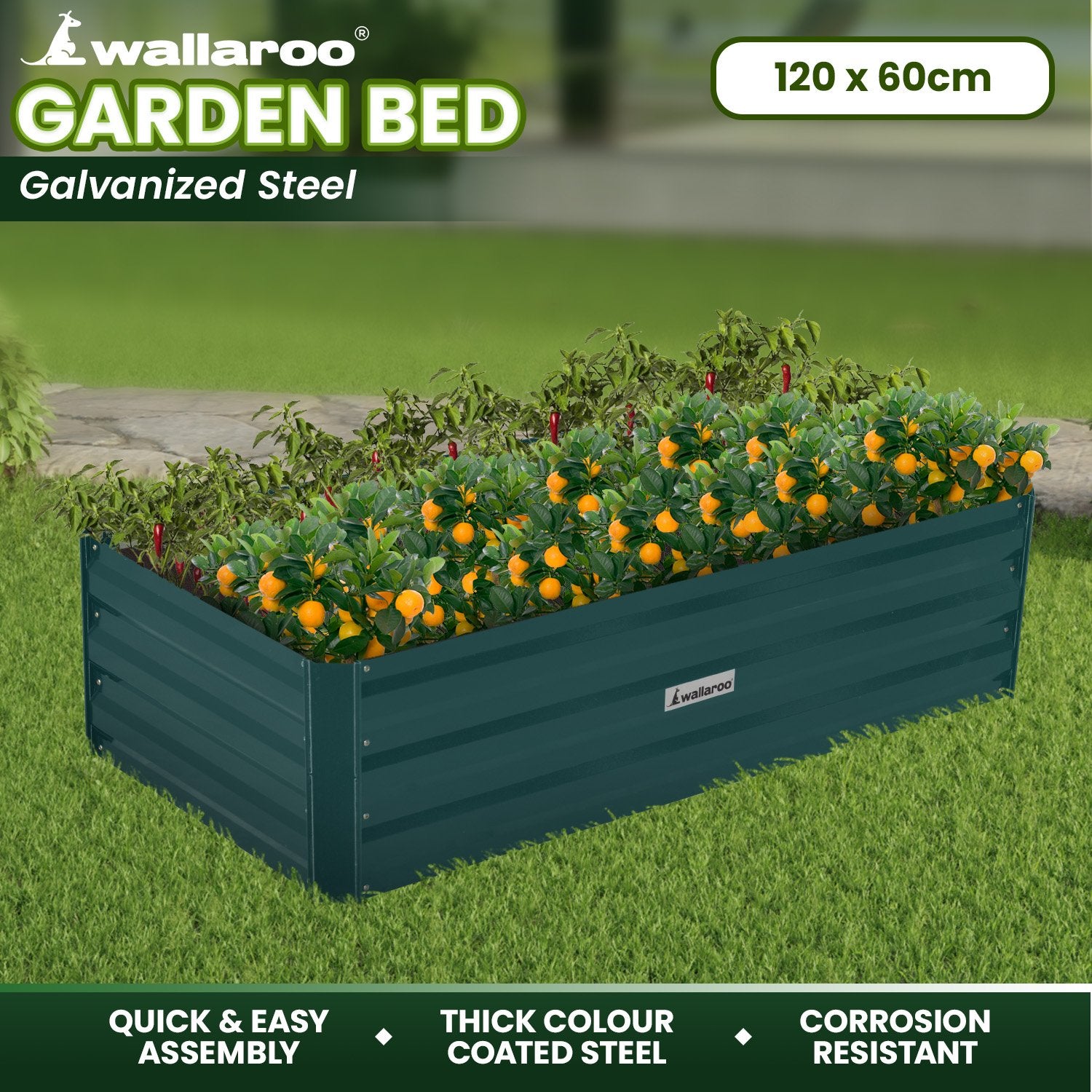 Quick Assembly Corrosion Resistant Galvanized Steel Garden Bed - Wallaroo