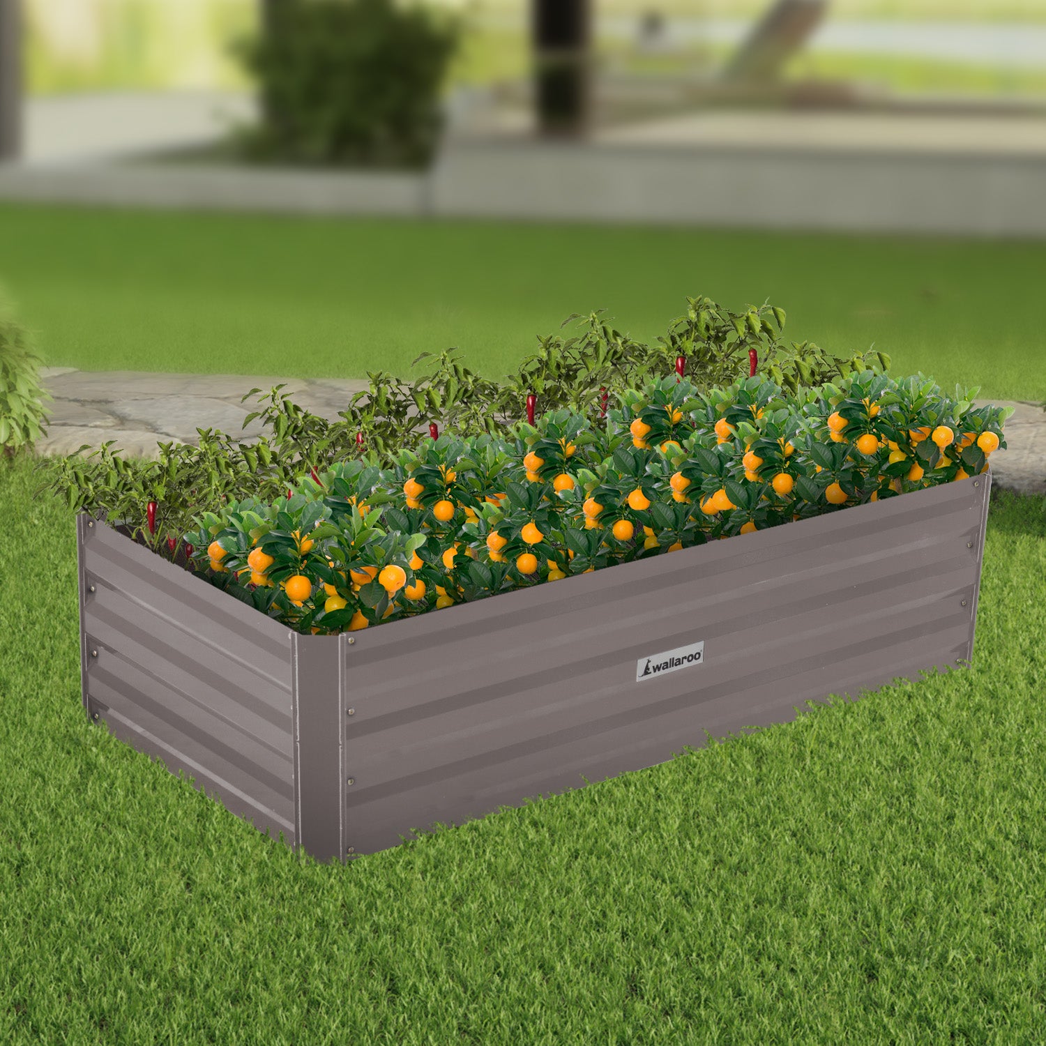 Quick Assembly Galvanized Steel Garden Bed, 120x60x30cm Wallaroo