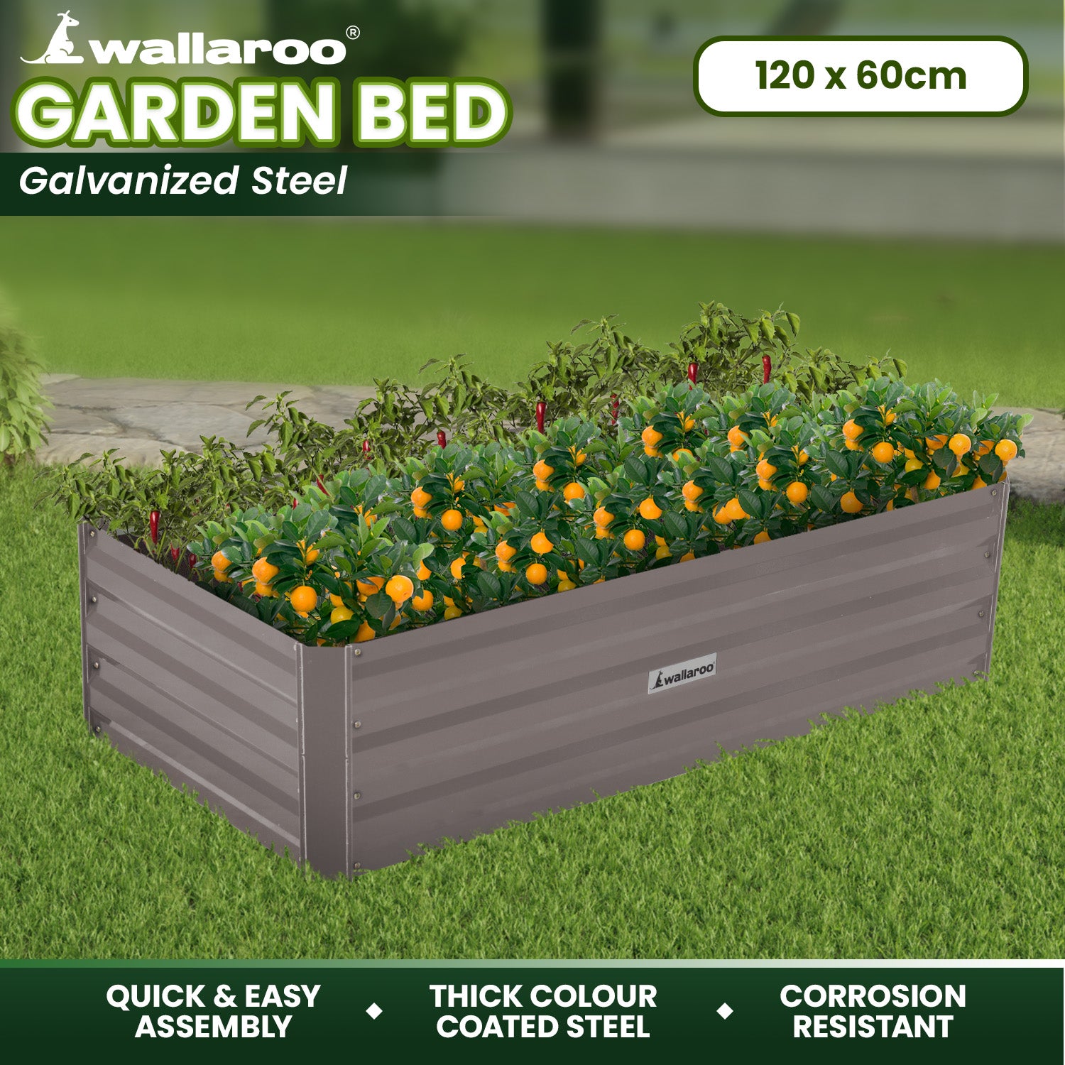 Quick Assembly Galvanized Steel Garden Bed, 120x60x30cm Wallaroo