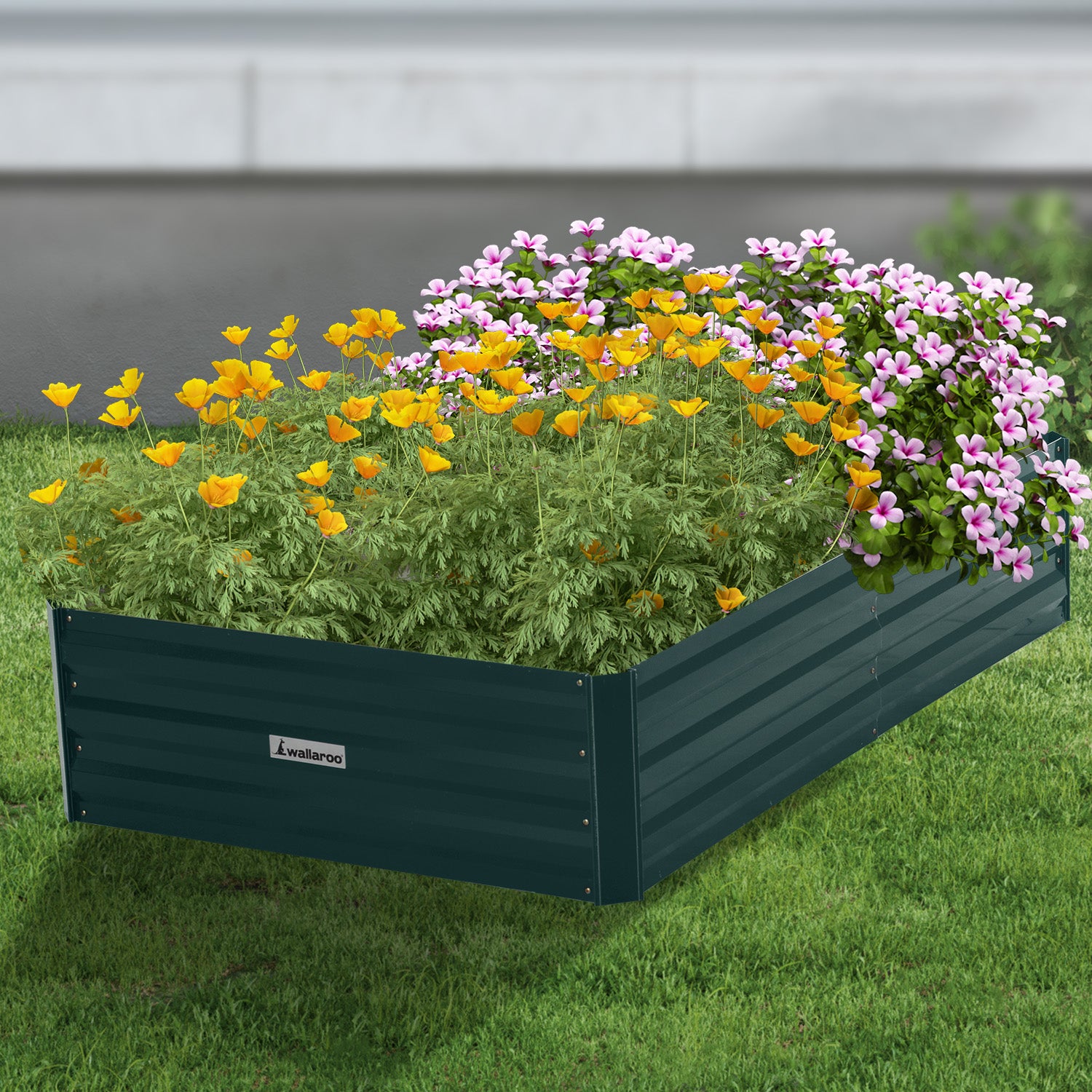 Corrosion-Resistant Galvanized Garden Bed 150x90x30cm Wallaroo