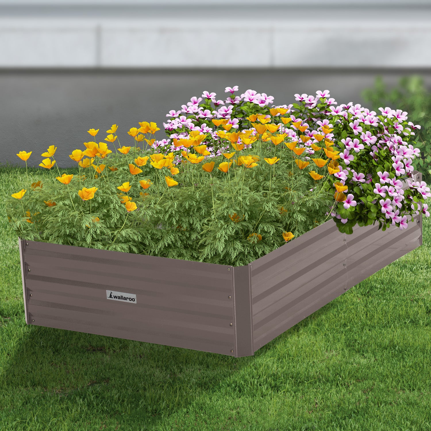 Corrosion-Resistant Galvanized Steel Garden Bed 150x90x30cm Wallaroo