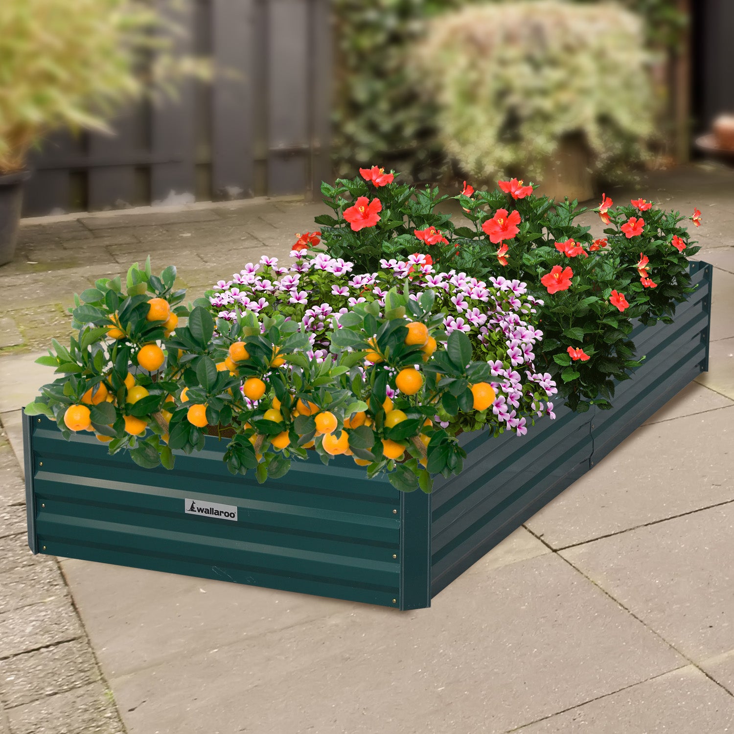 Corrosion Resistant Galvanized Garden Bed 210x90x30cm Wallaroo