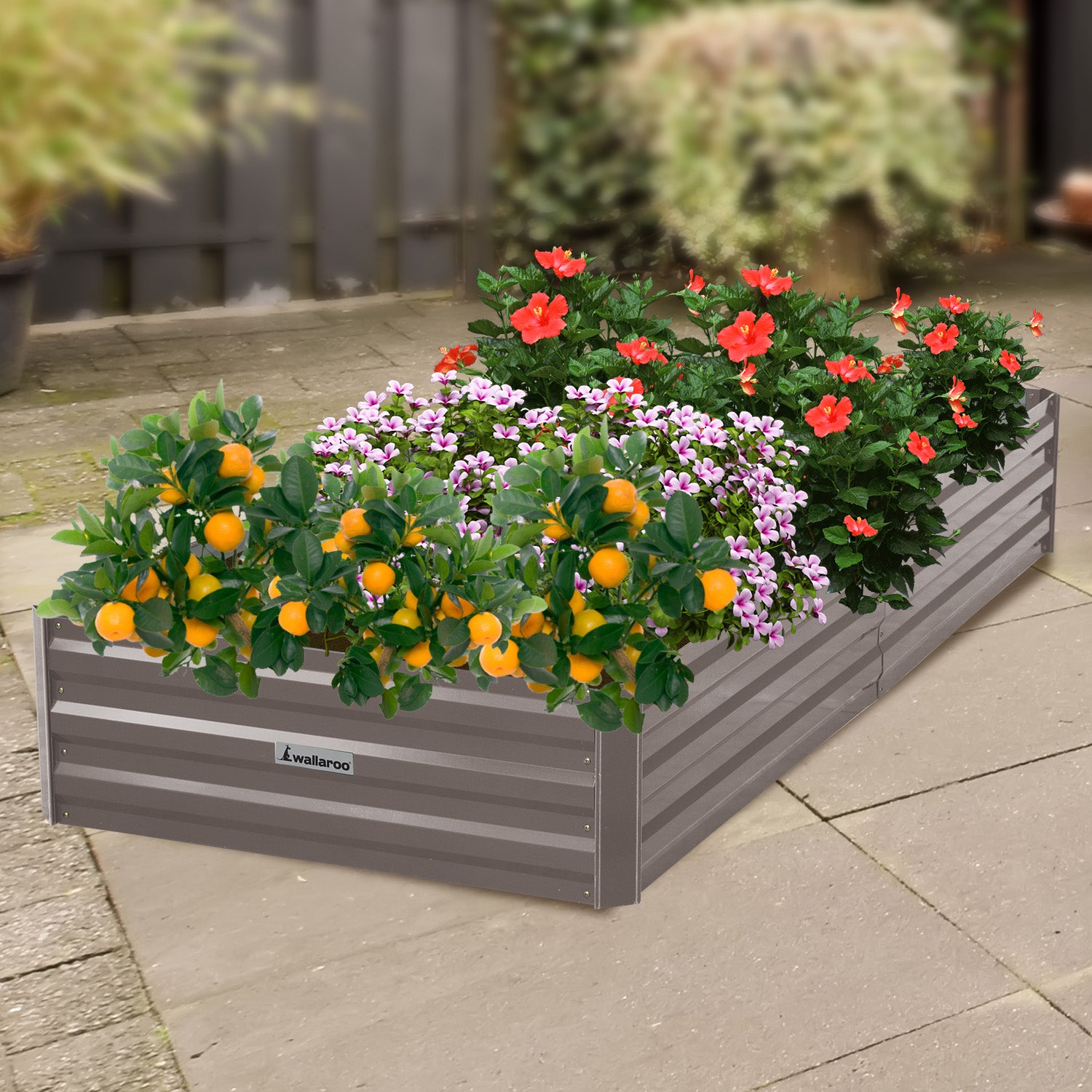 Corrosion Resistant Galvanized Garden Bed, 210x90x30cm - Wallaroo