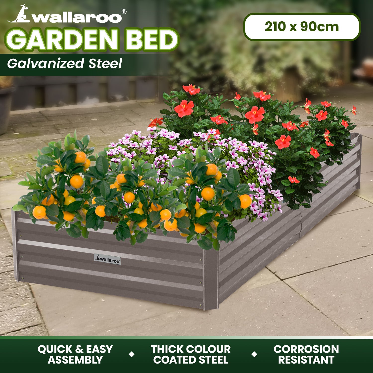 Corrosion Resistant Galvanized Garden Bed, 210x90x30cm - Wallaroo