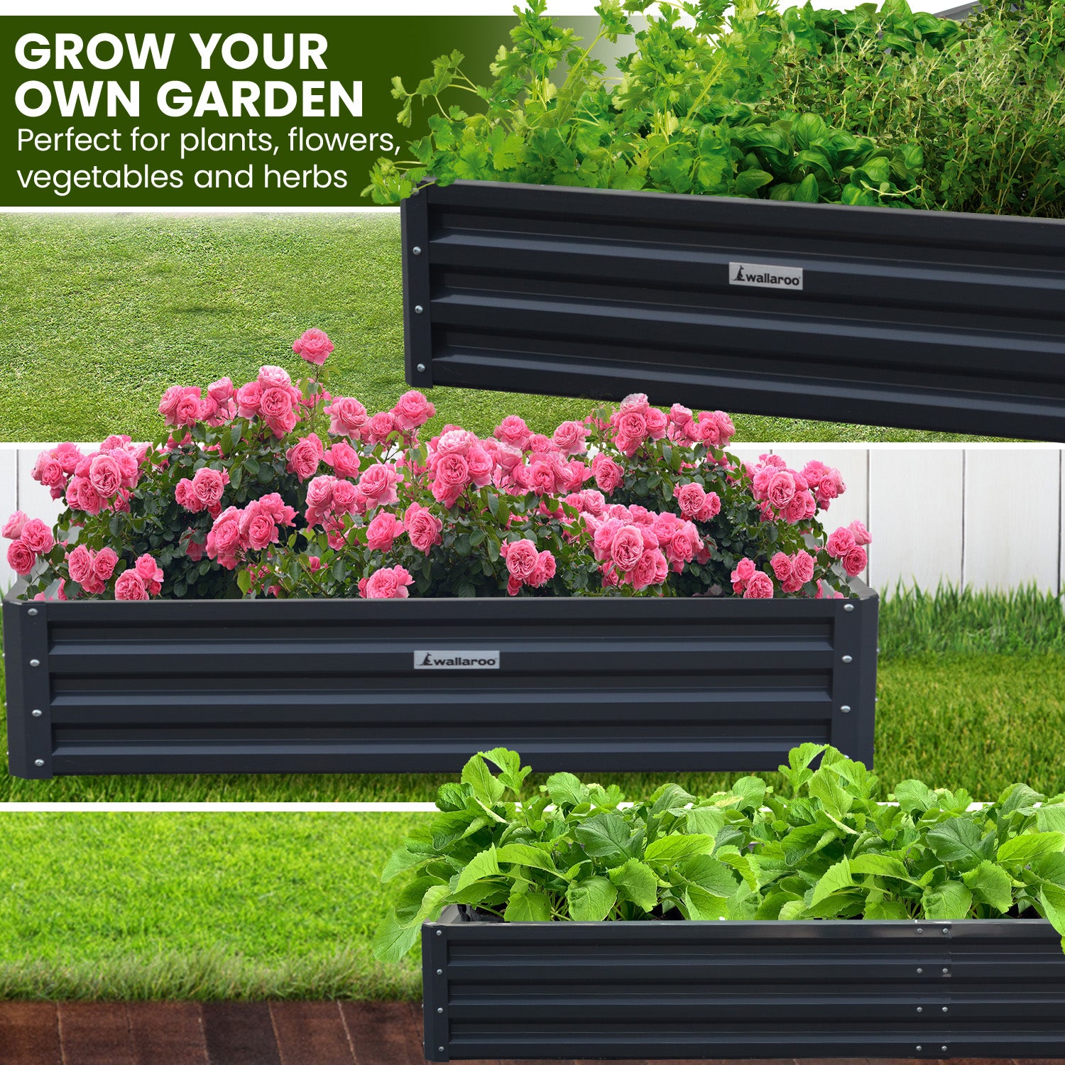 Corrosion Resistant Galvanized Steel Garden Bed 240x120x30cm - Wallaroo