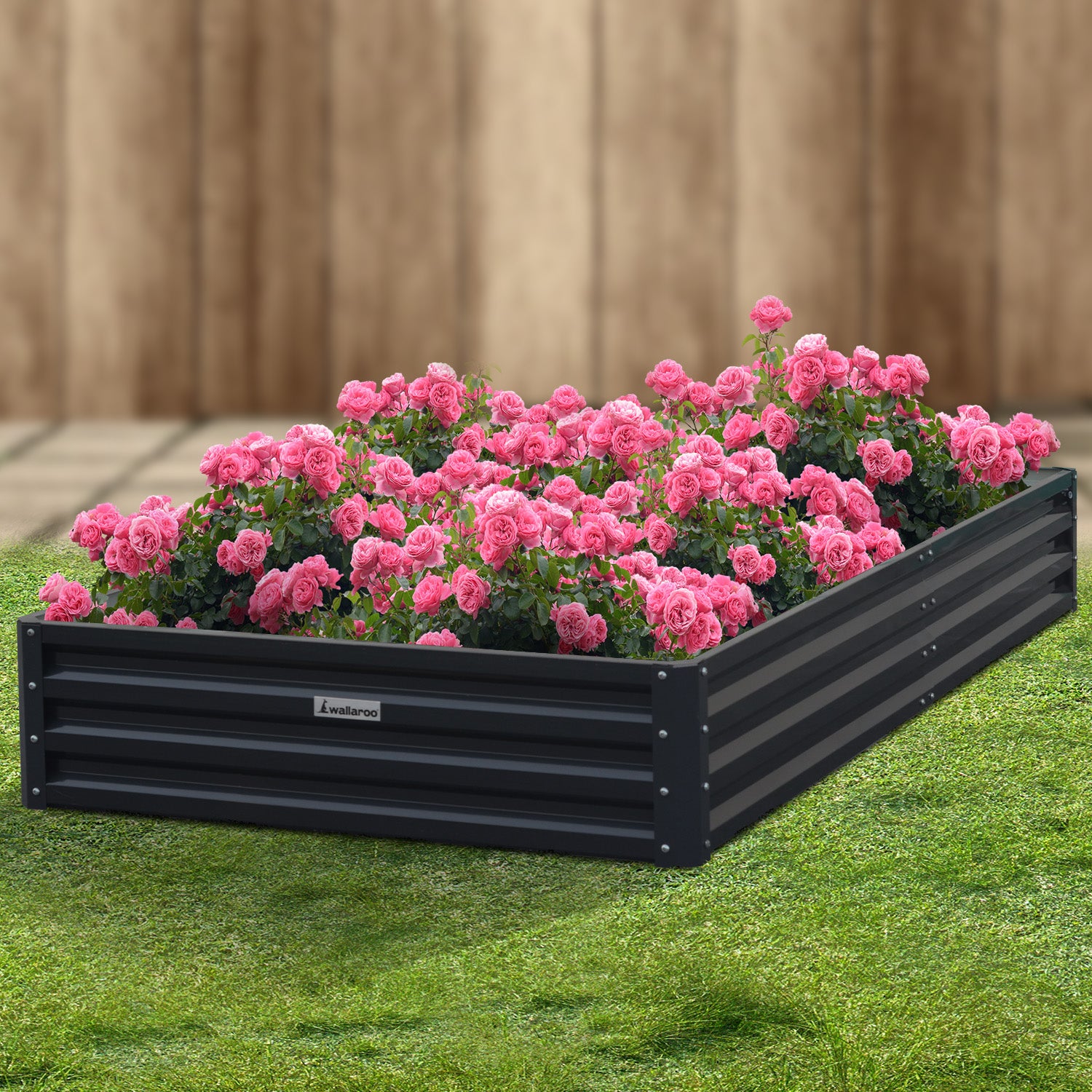 Corrosion Resistant Galvanized Steel Garden Bed 240x120x30cm - Wallaroo