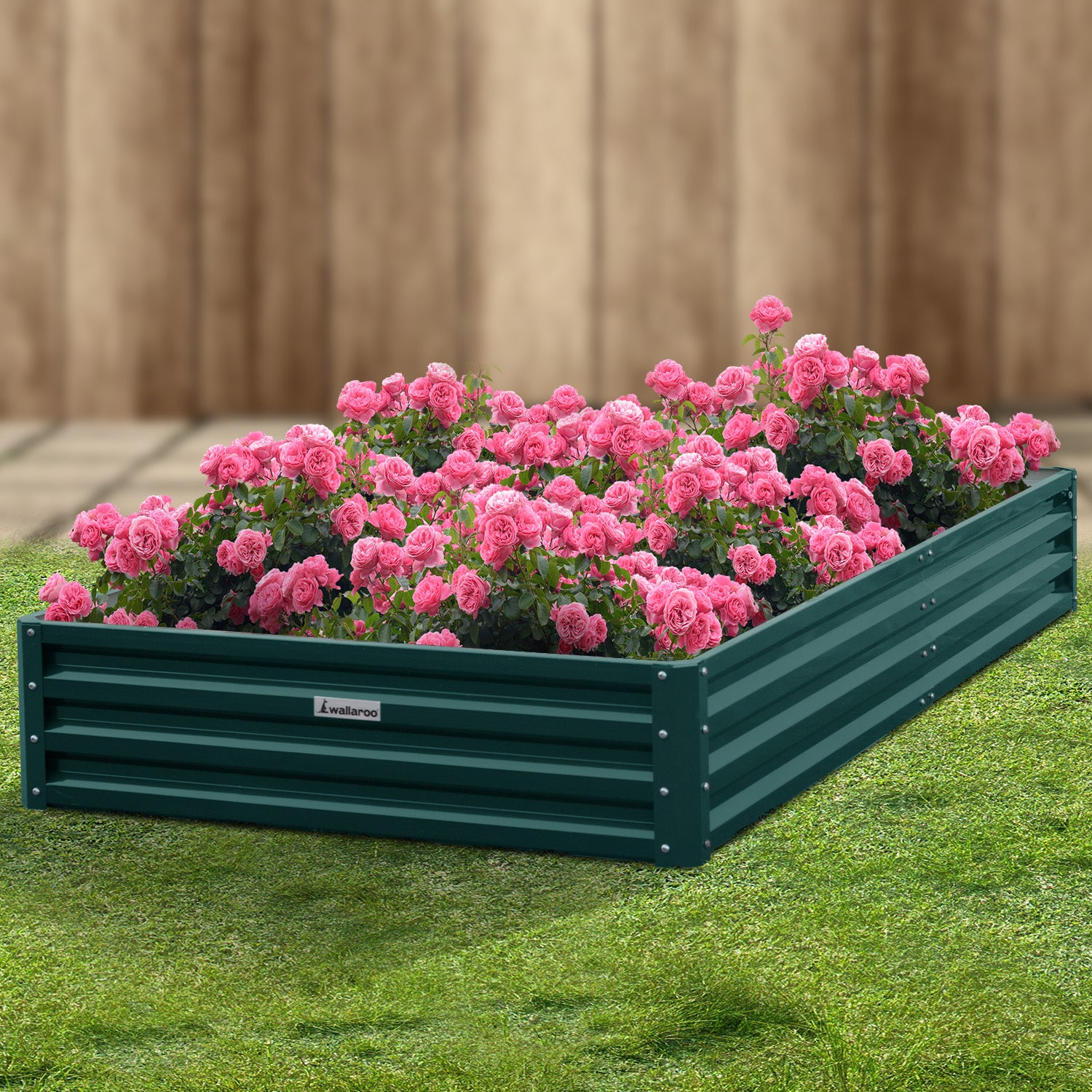 Corrosion Resistant Garden Bed Galvanized Steel 240x120x30cm Wallaroo