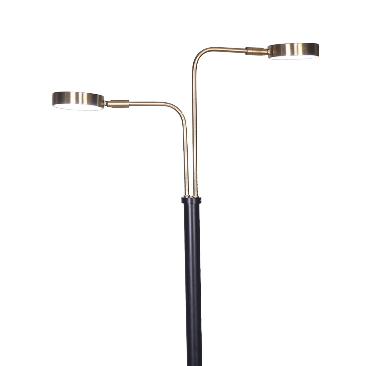 Adjustable 2-Light LED Metal Floor Lamp, Brushed Gold & Black Finish