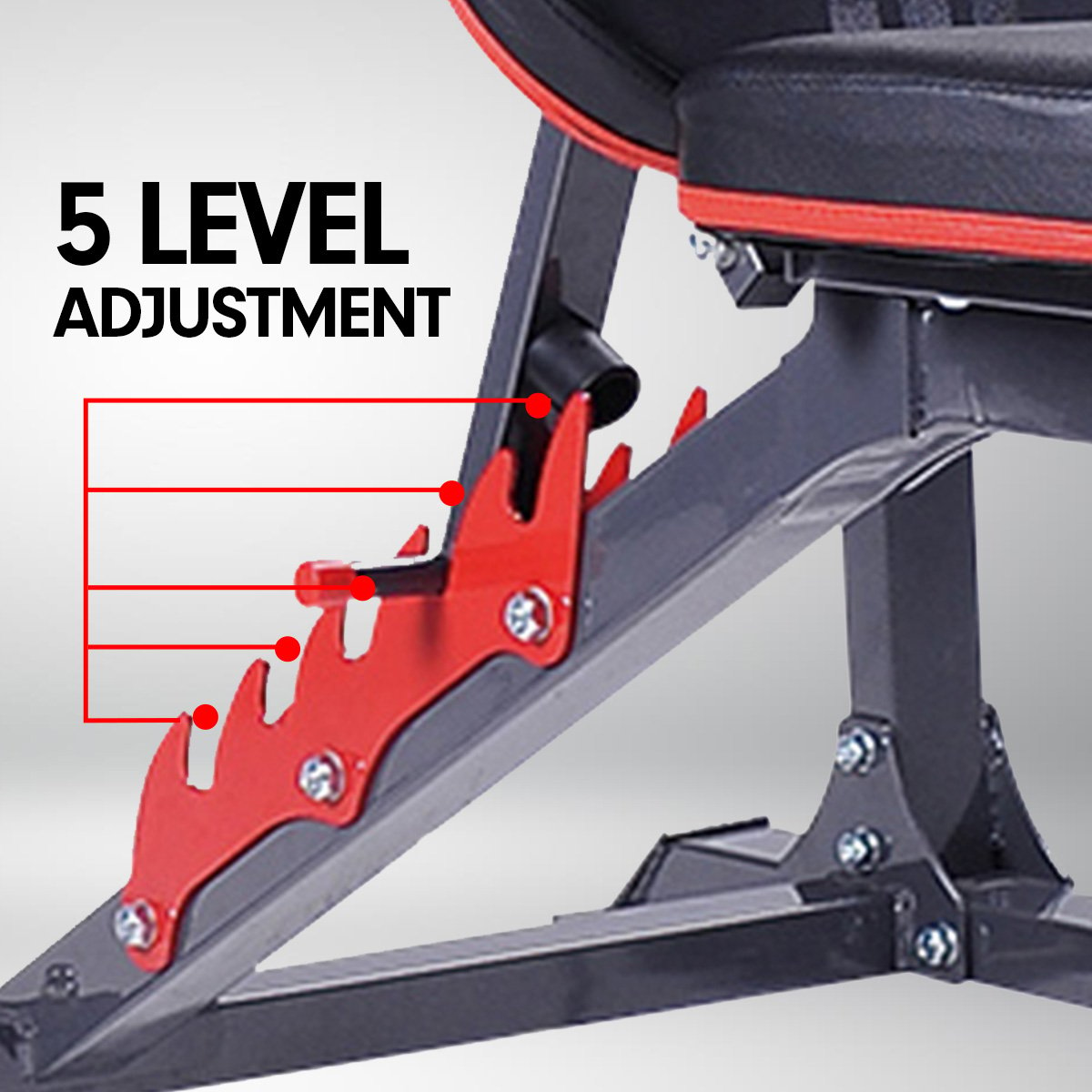 Adjustable Powder Coated Weight Bench with Curl Station